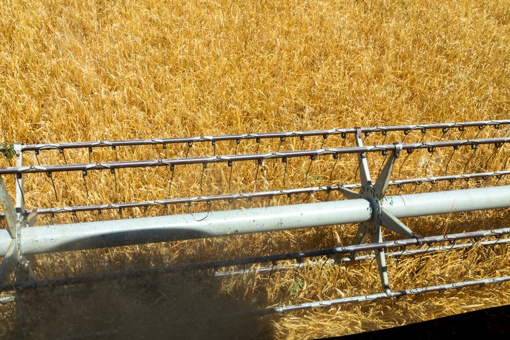 a close up of a metal fence in a field