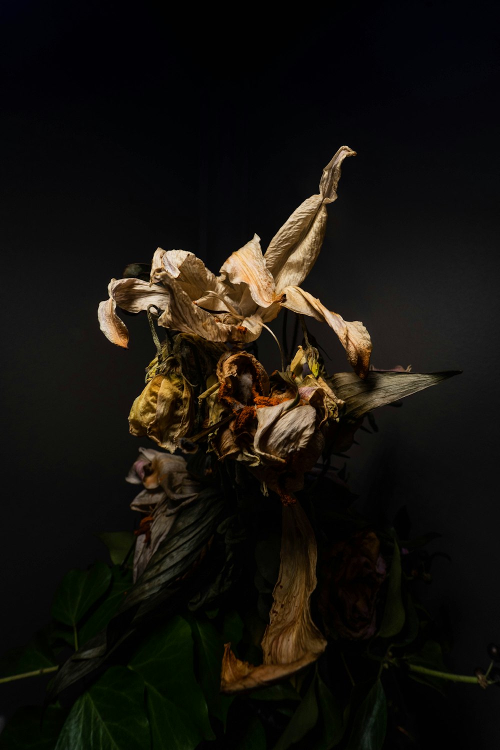 a bunch of dead flowers sitting on top of a table