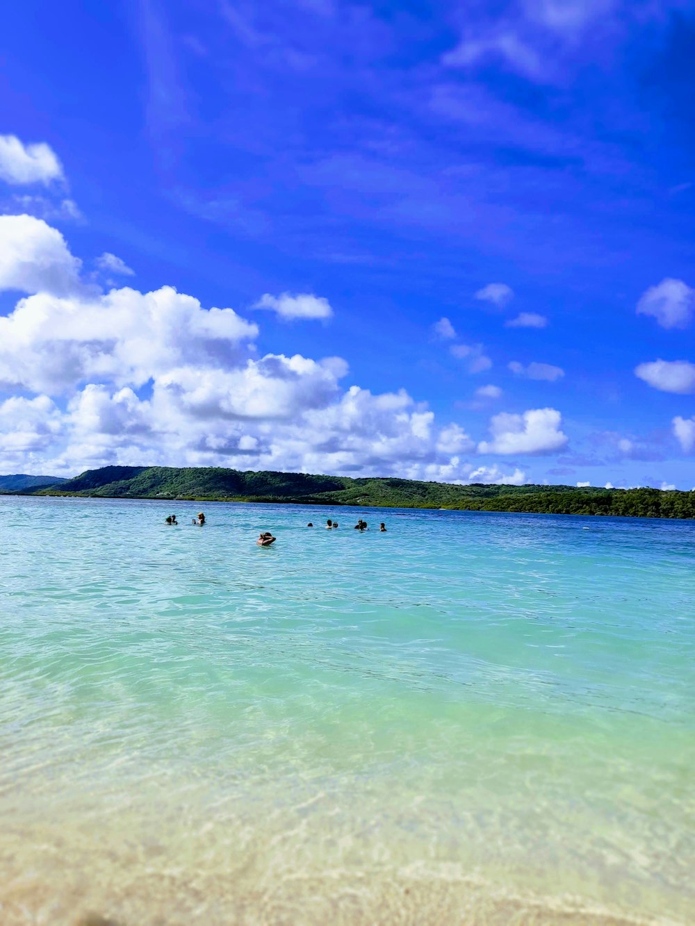 a group of people swimming in the ocean