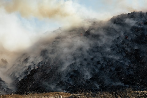 the urgent environmental challenges facing our planet