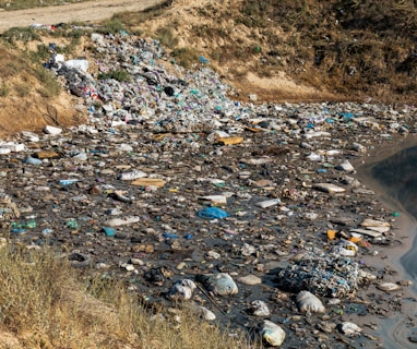 a river filled with lots of trash next to a hillside