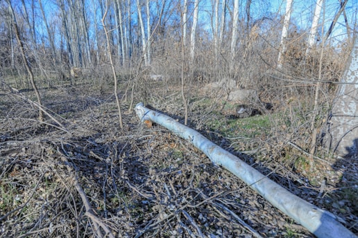 a metal pipe laying in the middle of a forest