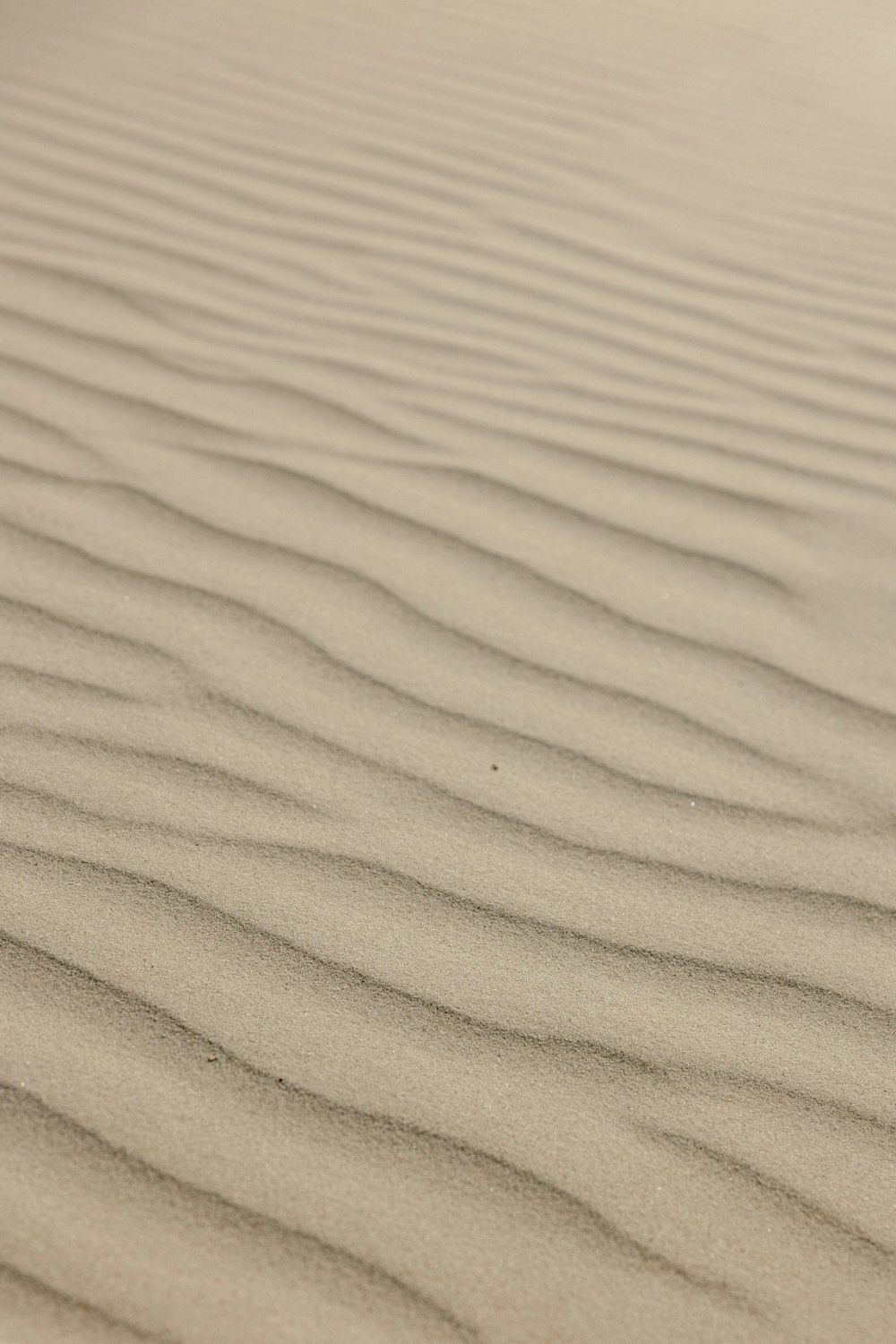 a sand dune with wavy lines in the sand