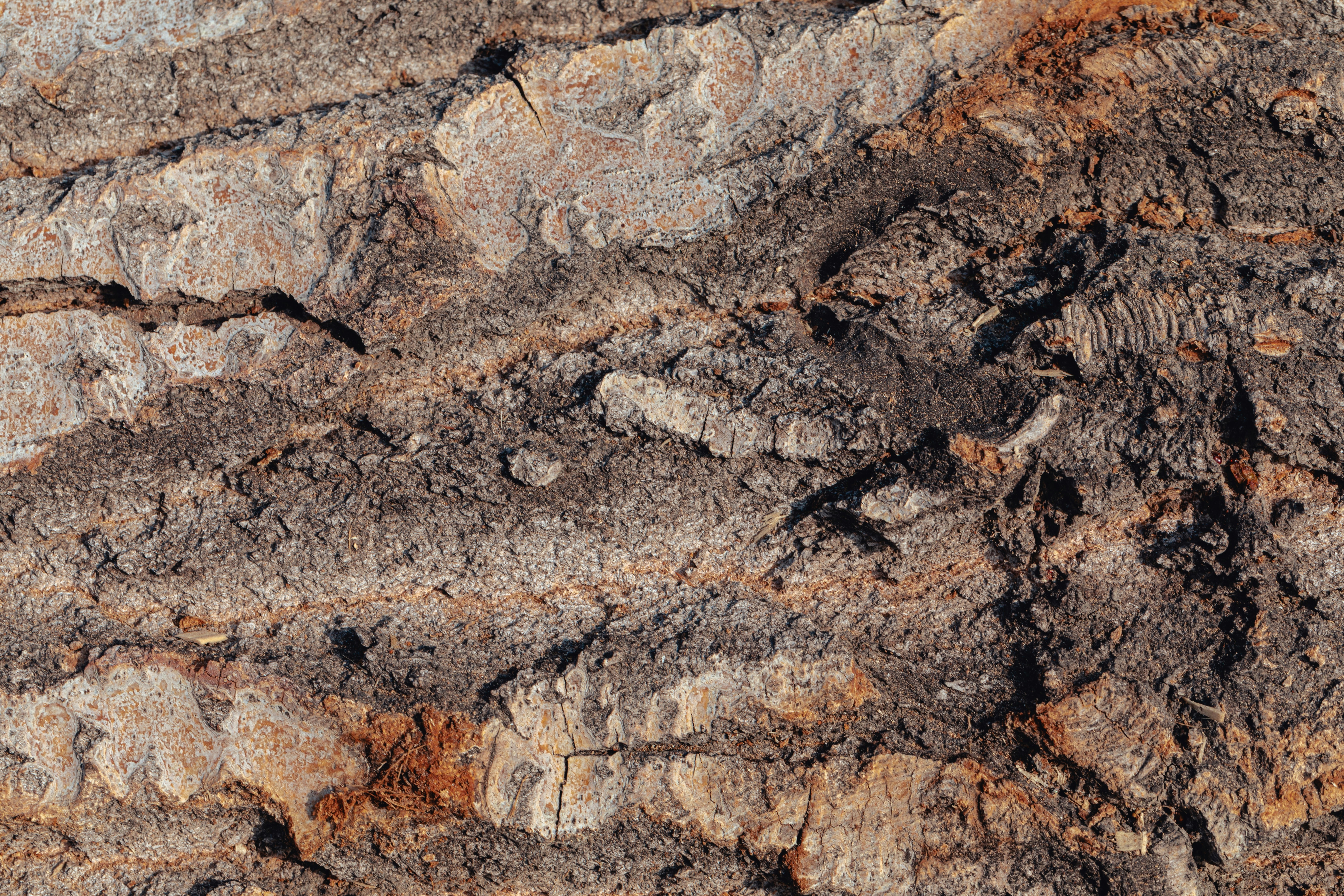 Photo by collab_media