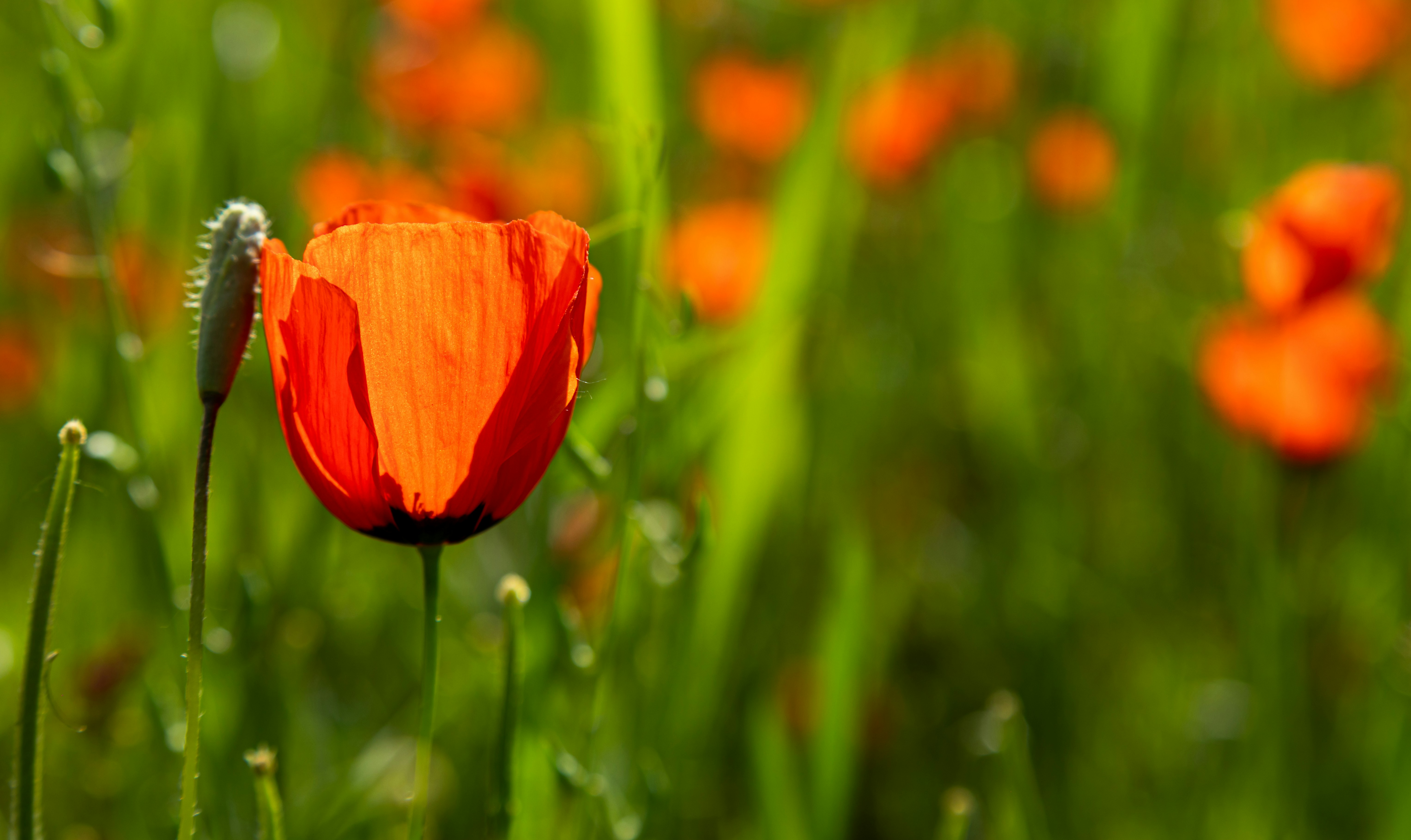 Photo by collab_media