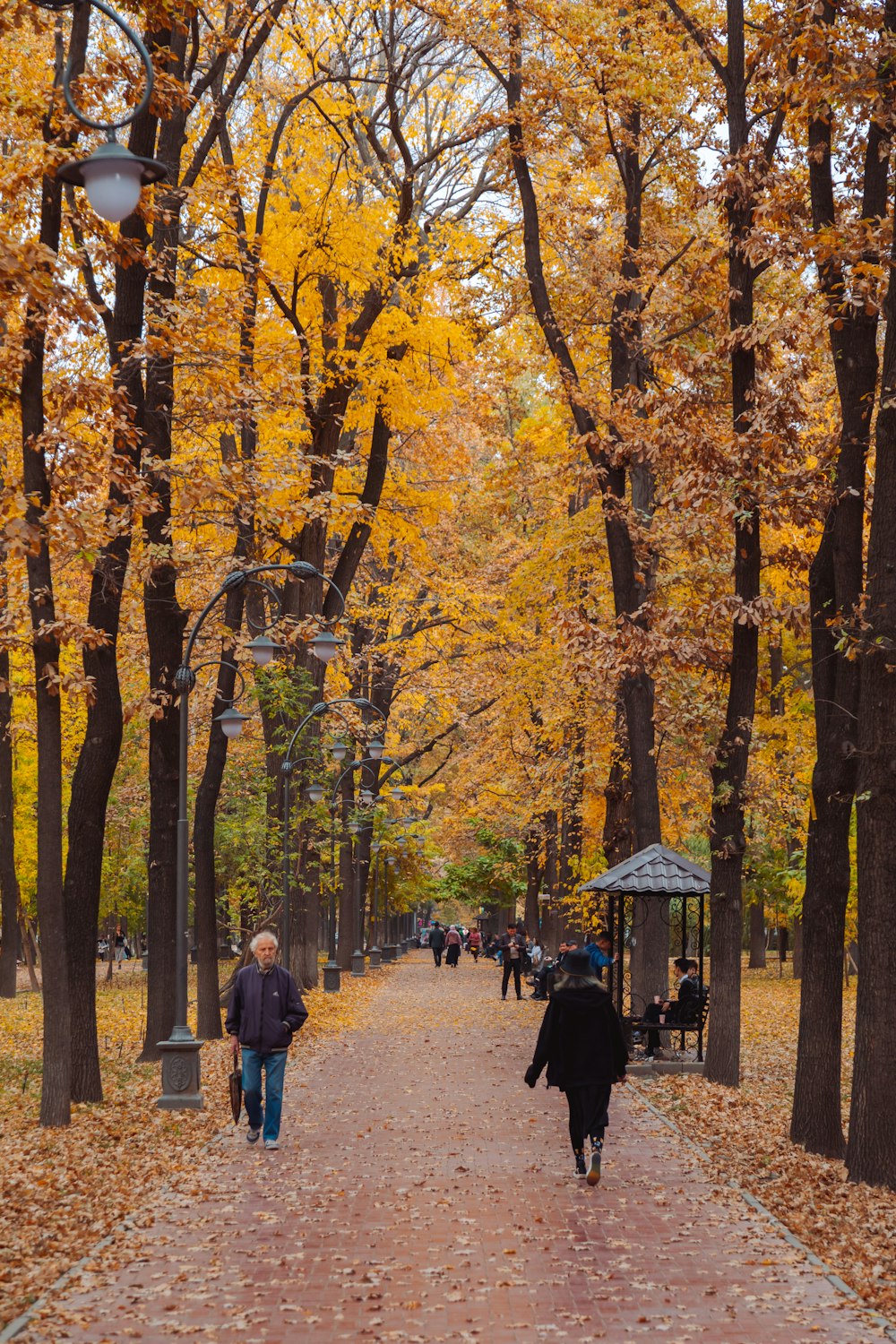 a couple of people walking down a path in a park