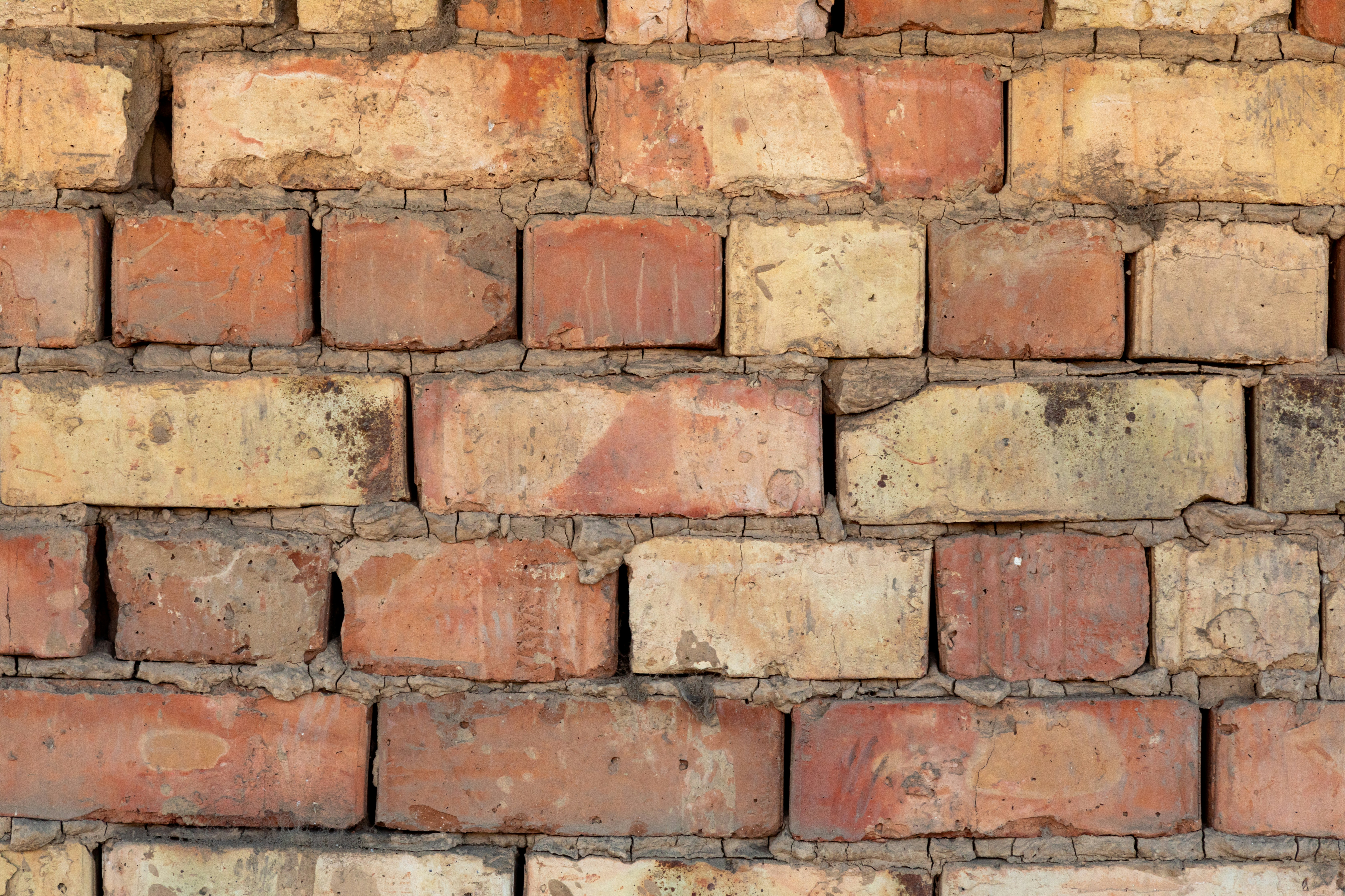 Photo by collab_media