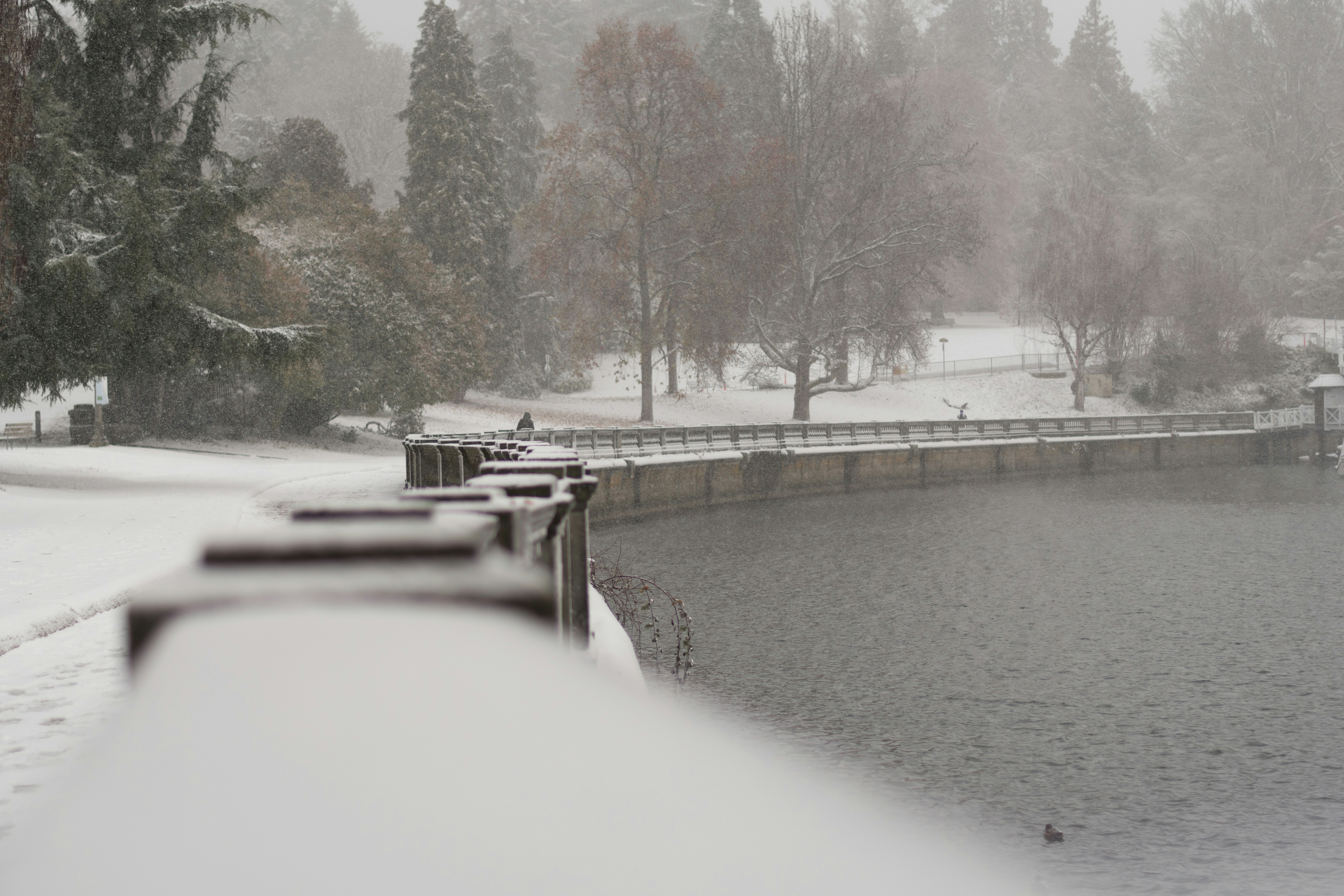 Stop image for Sea-to-Sky Luxury Loop: Vancouver & Beyond (3 Days) - a snow covered park with benches and a lake -  in Western Canada - Photo by Albert Stoynov on Unsplash