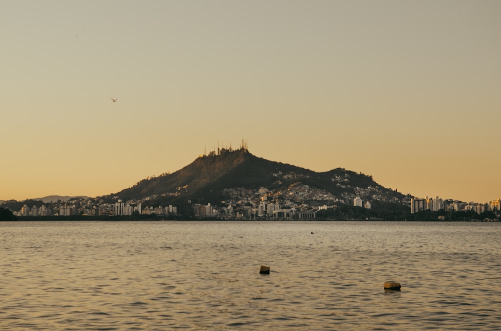 um grande corpo de água com uma montanha no fundo