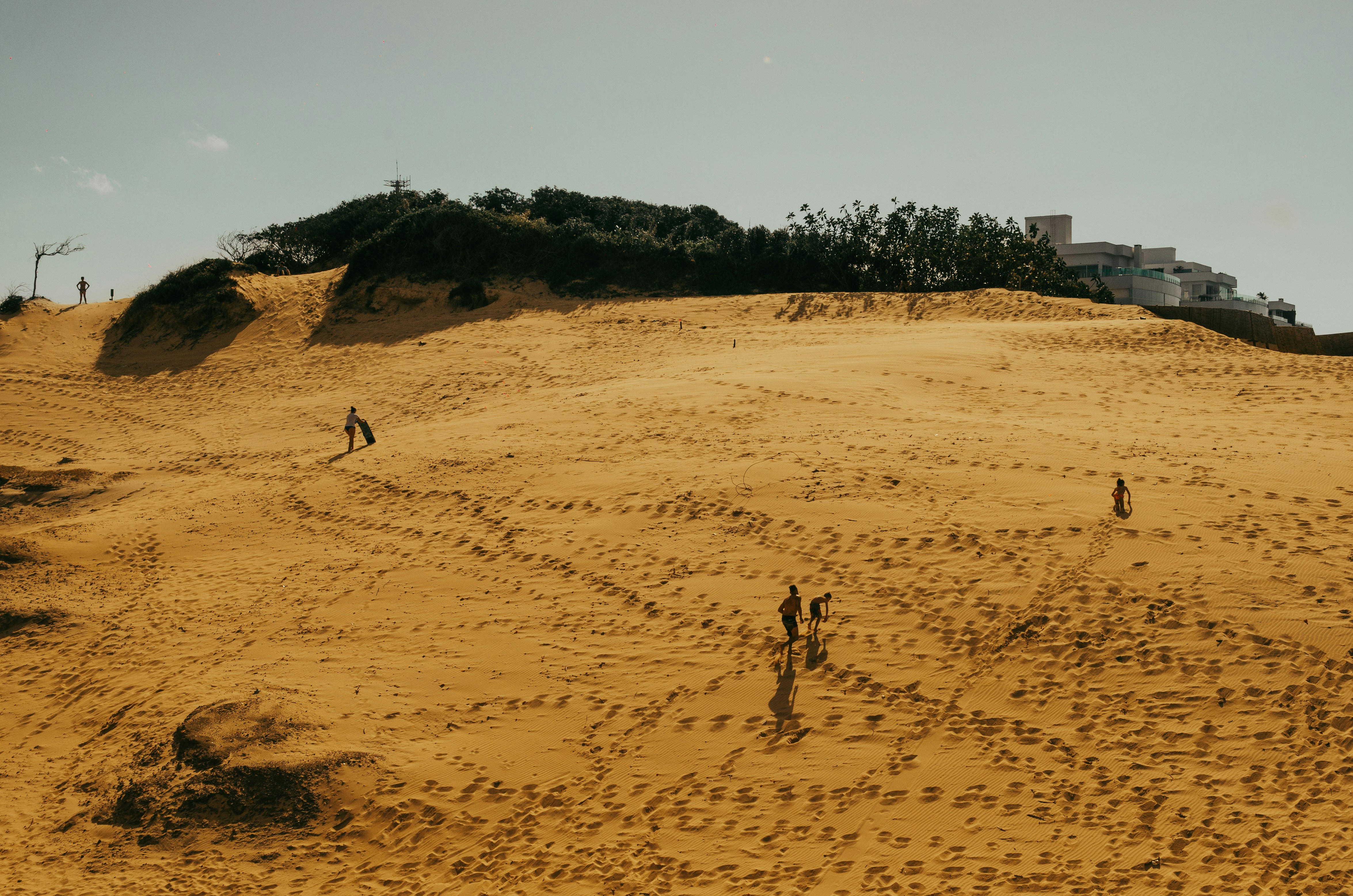 Hollywood's Ever-Shifting Sands: Tributes, Turmoil, and Timeless Icons in Today's Pop Culture