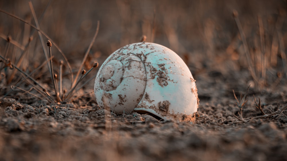 a broken egg sitting in the middle of a field