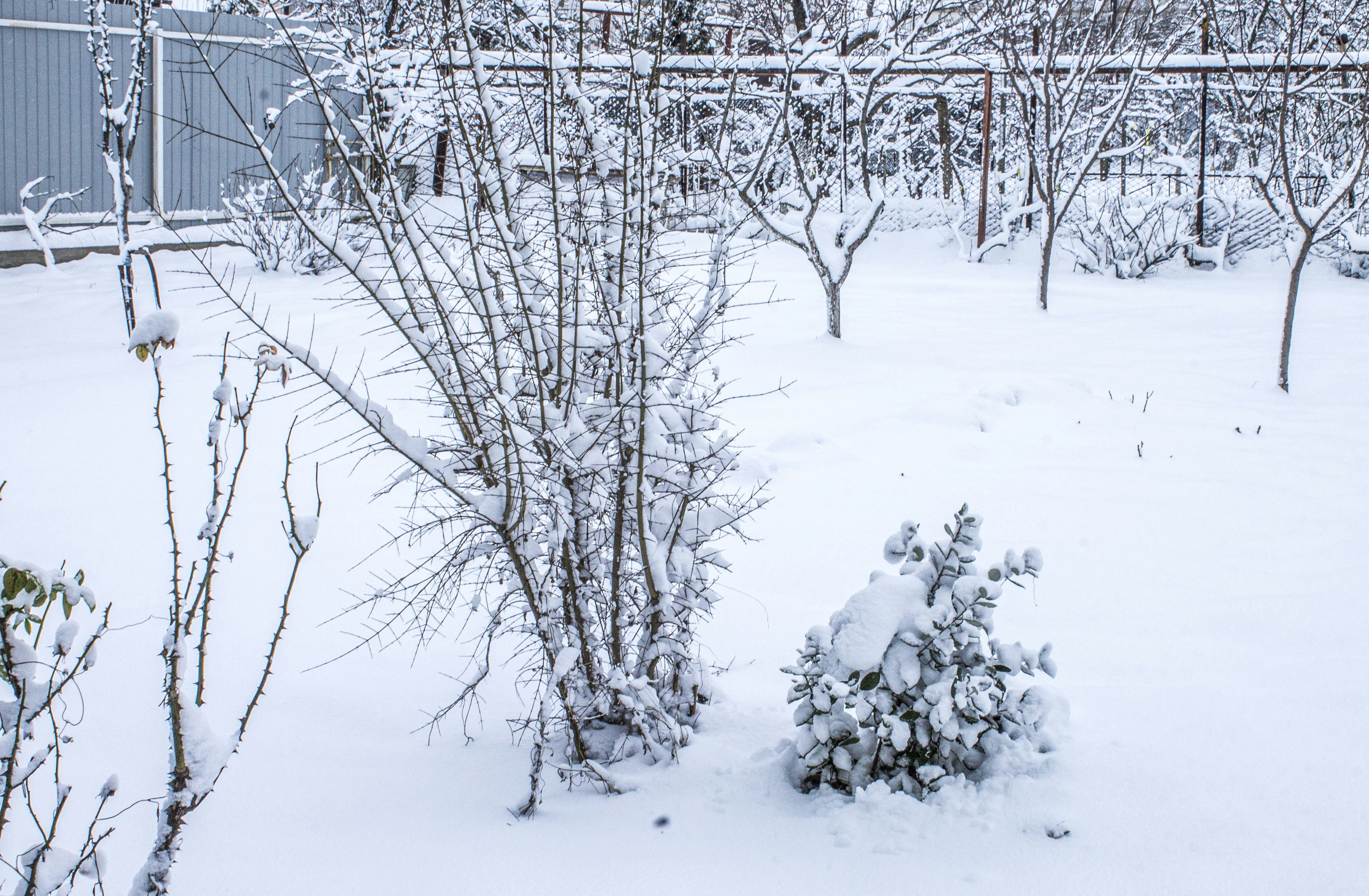 Photo by olgamusiichuck