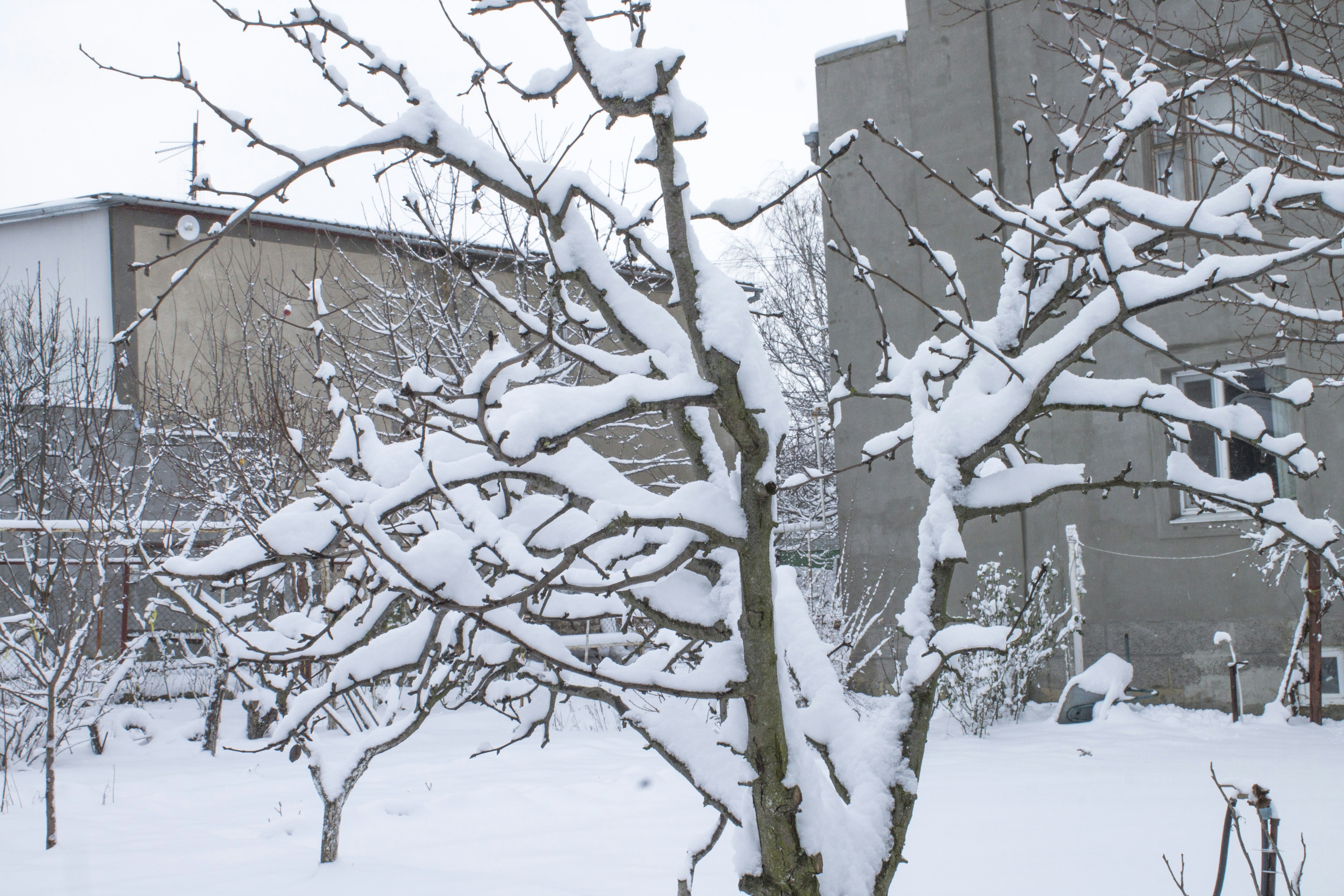 Photo by olgamusiichuck