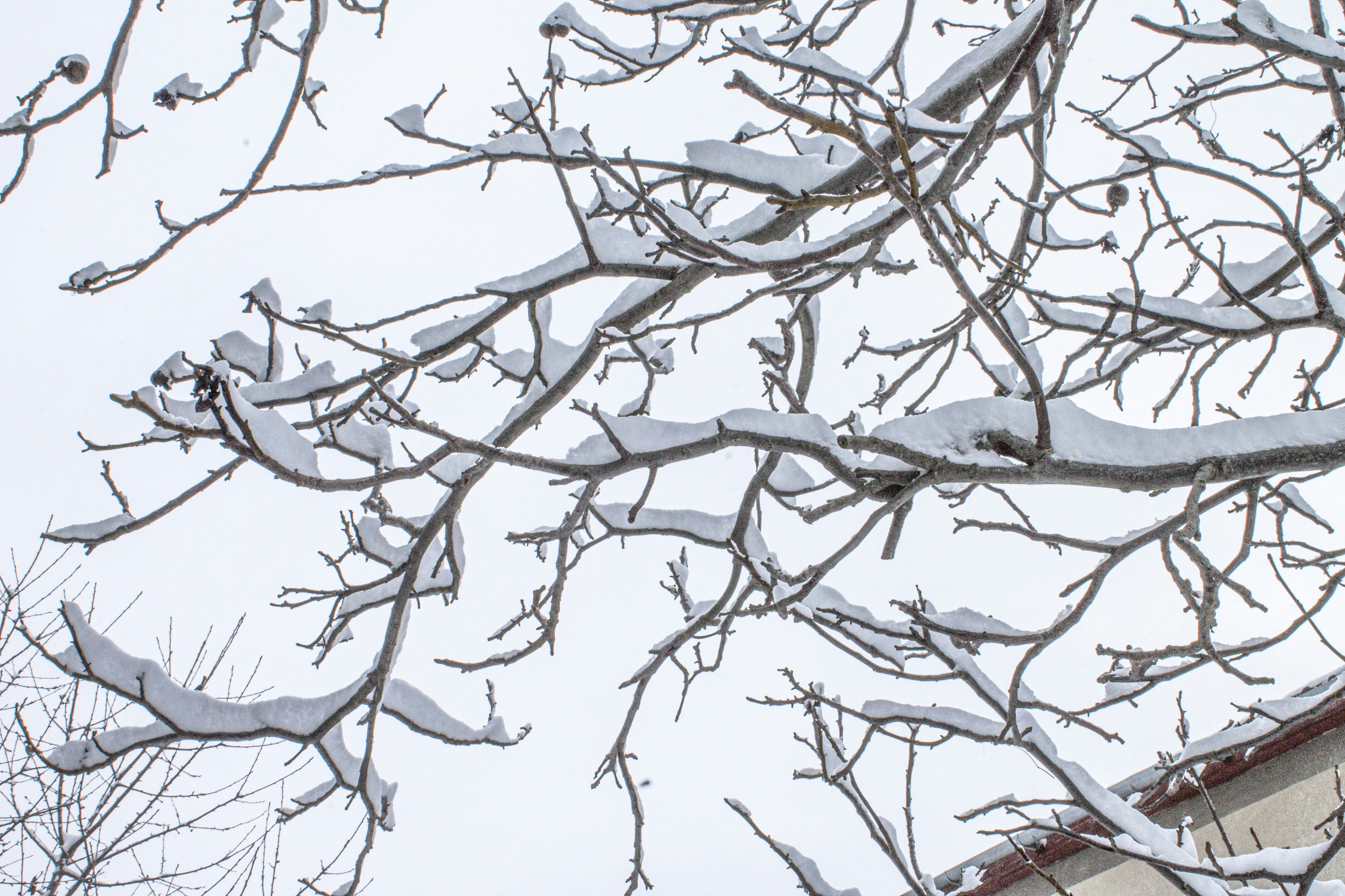 Photo by olgamusiichuck