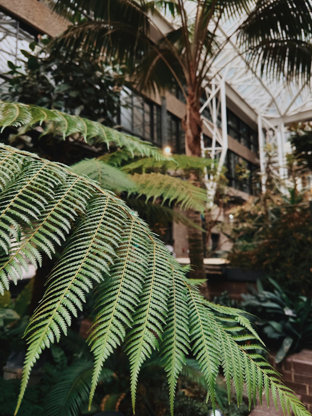 建物の前の緑の植物