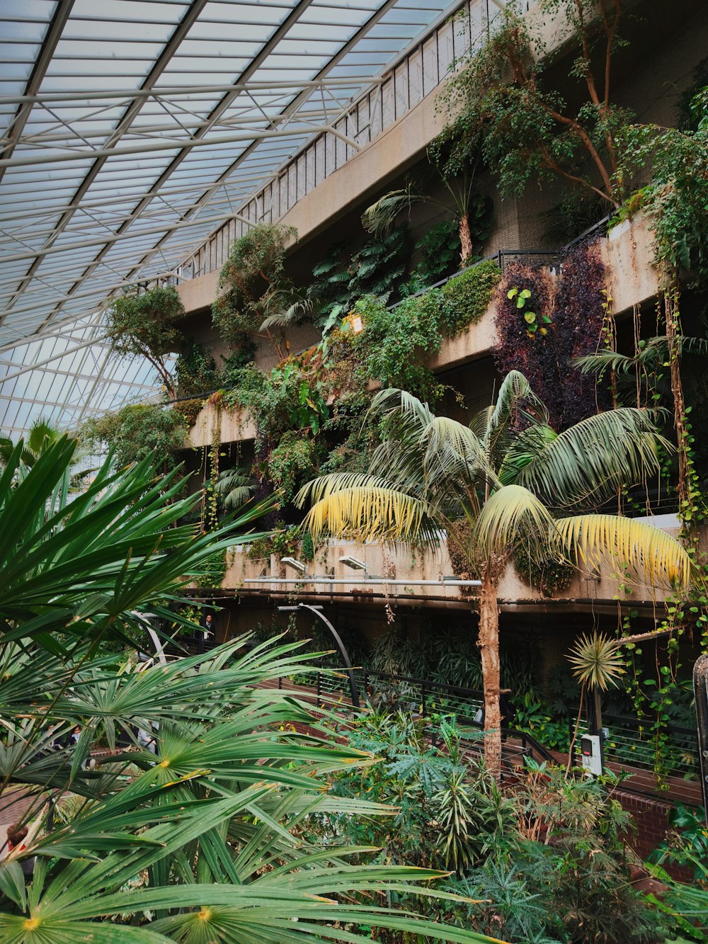 a building that has a bunch of plants in it