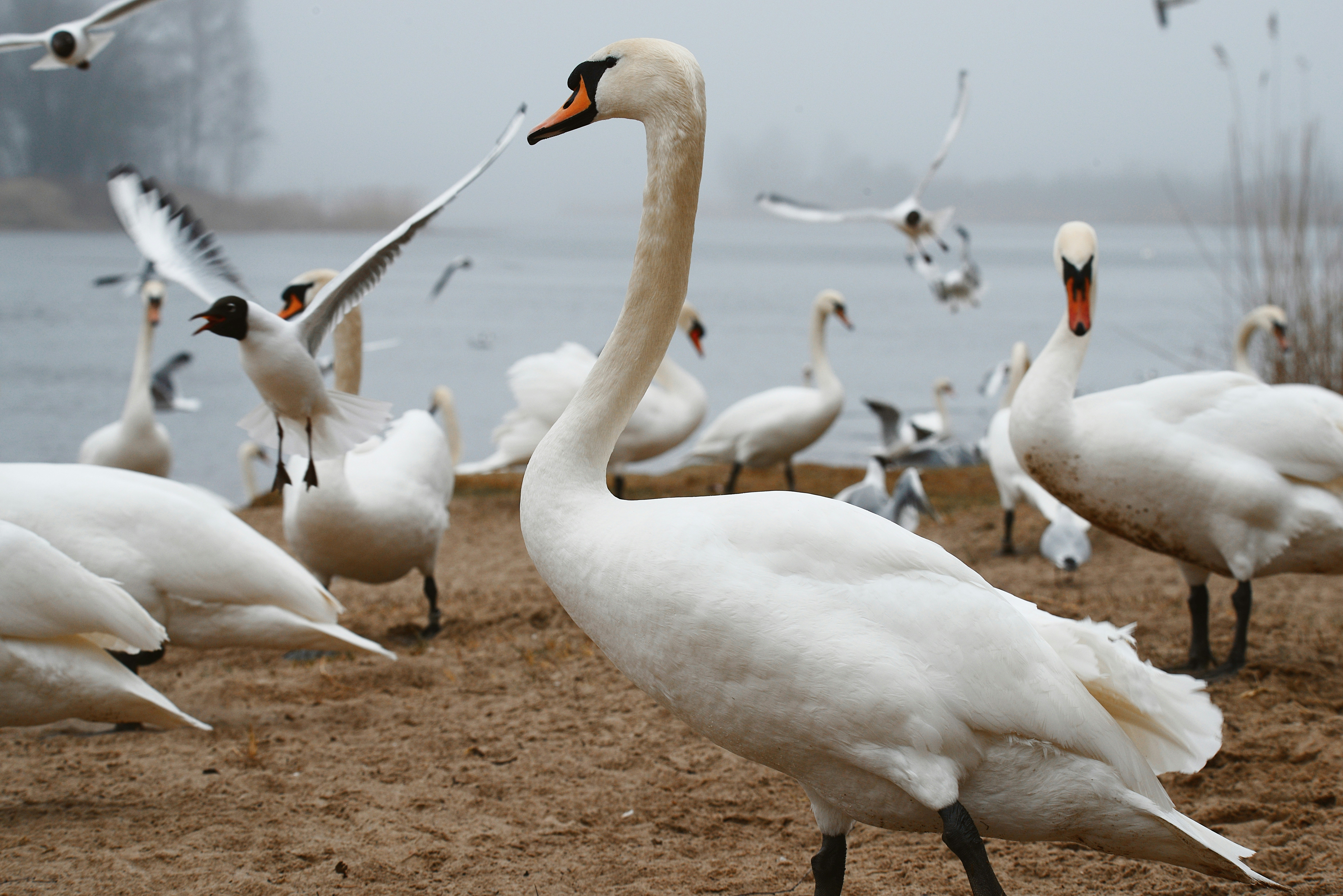 Photo by anitaaustvika