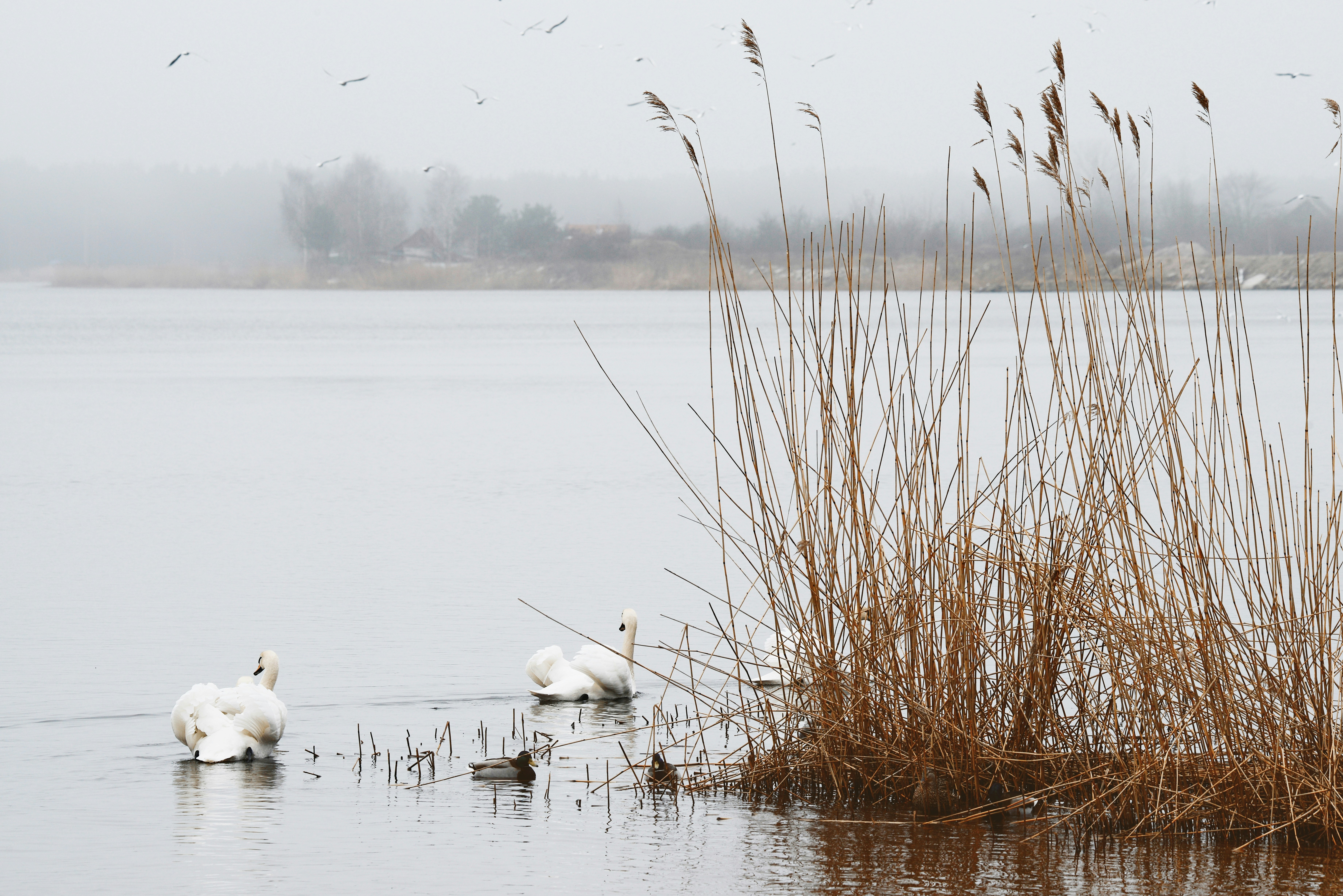 Photo by anitaaustvika