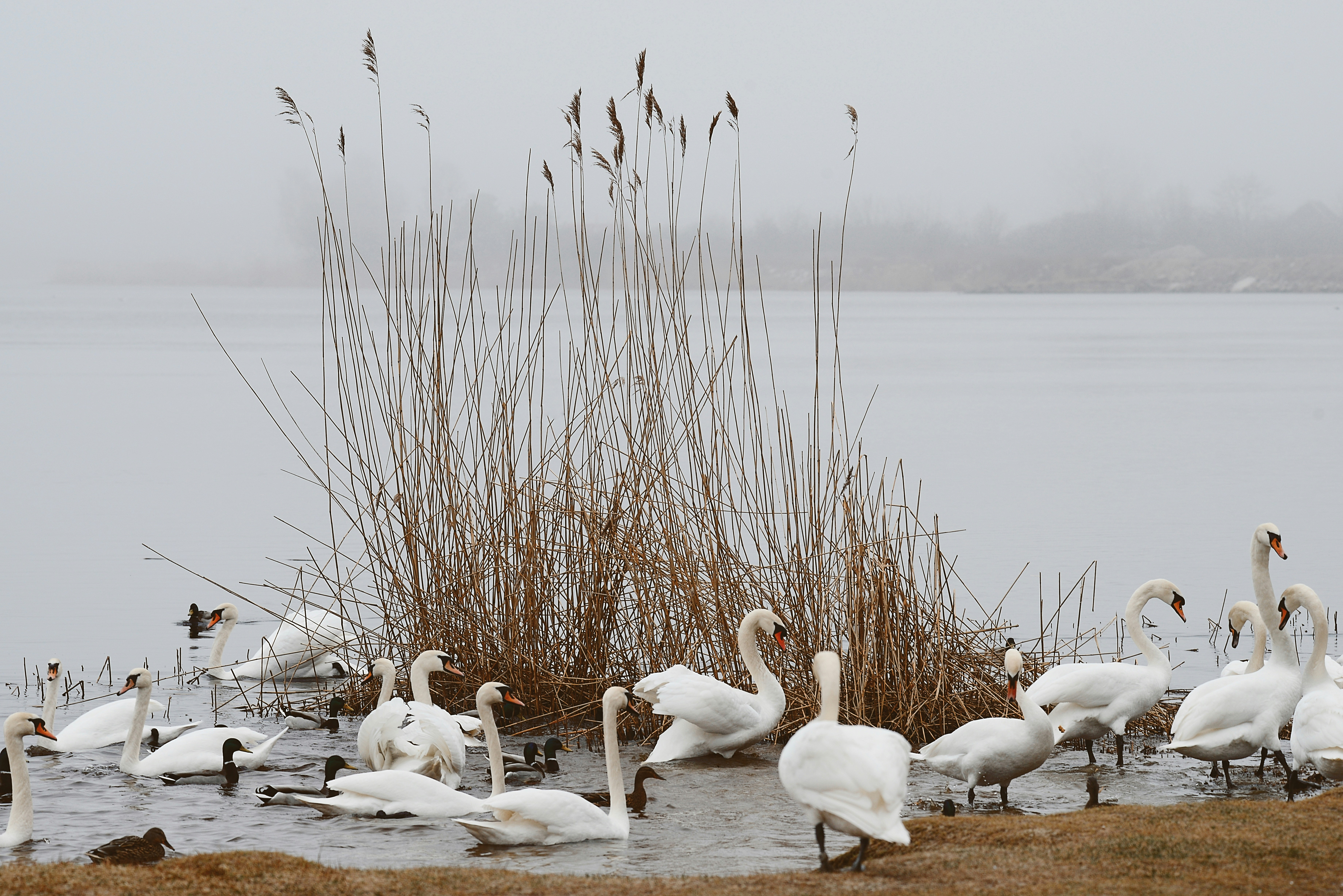 Photo by anitaaustvika