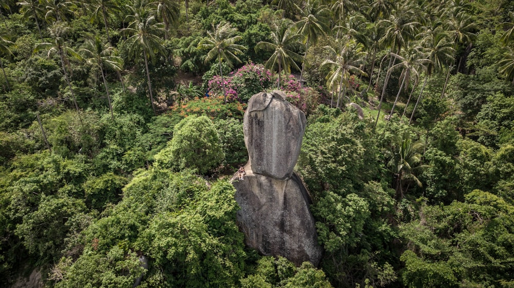 a large rock in the middle of a forest