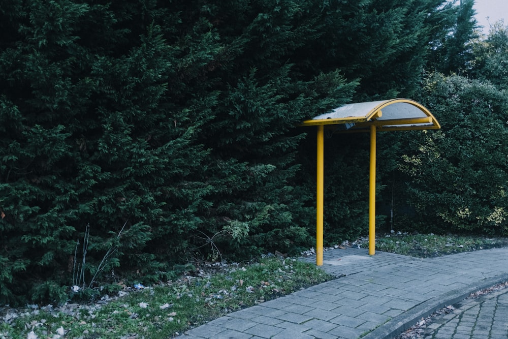 a yellow and white bus stop sitting next to a forest