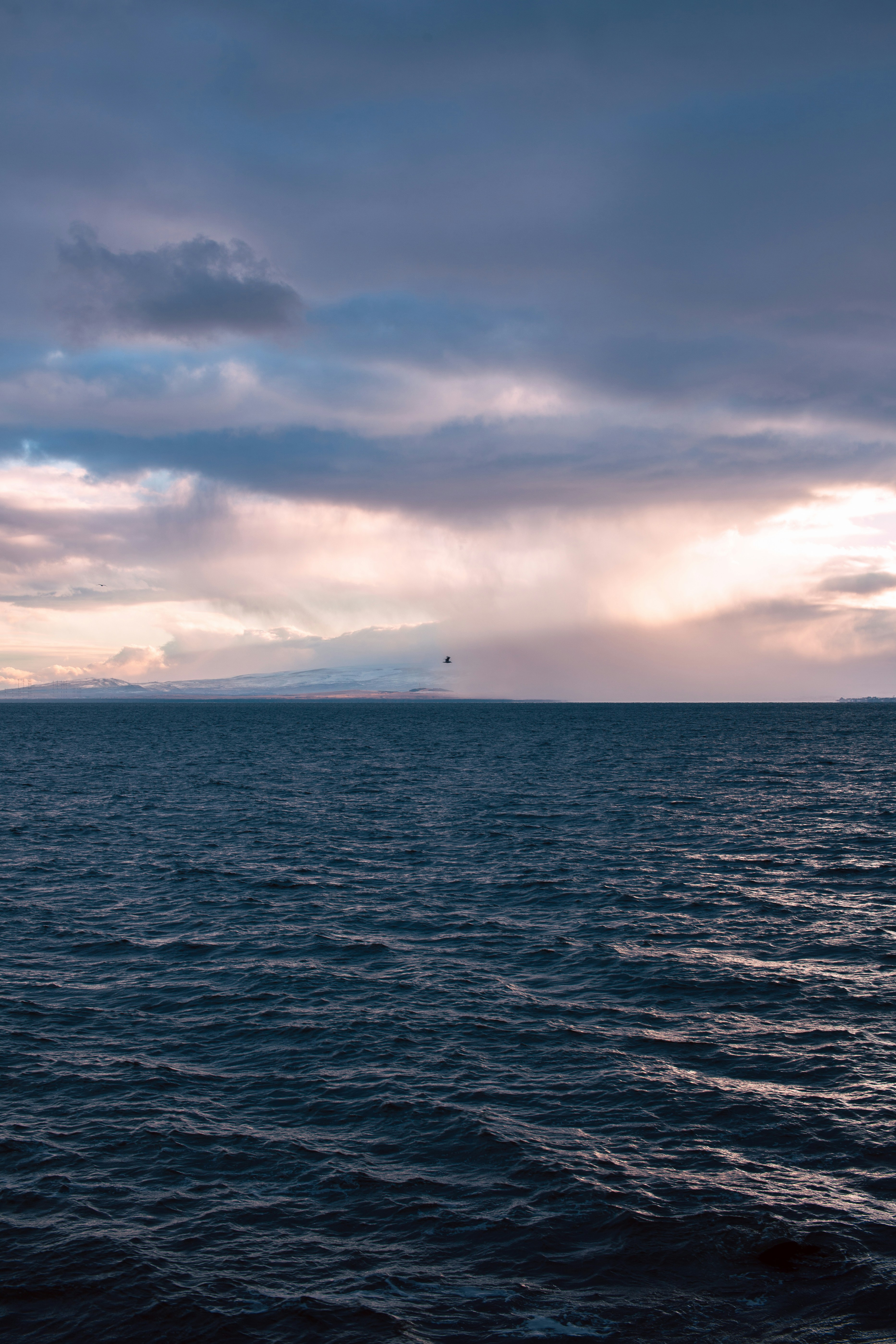 Photo by koryunhills