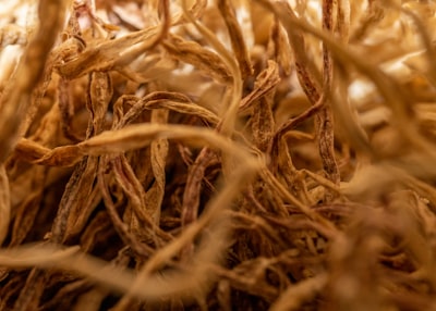 Ashwagandha root