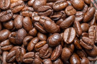 A visually appealing image of various coffee beans.
