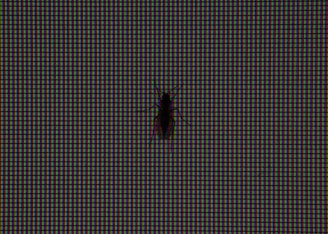 A close-up view of a digital screen displaying a pattern of red, green, and blue pixels with a silhouette of a small insect, possibly a bug or fly, positioned against the screen.
