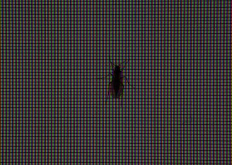 Close-up of a digital tablet displaying pest detection alerts in a crop field.