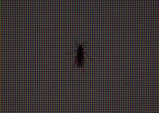 Animated image showing a friendly pest control technician at work in a cozy home setting.