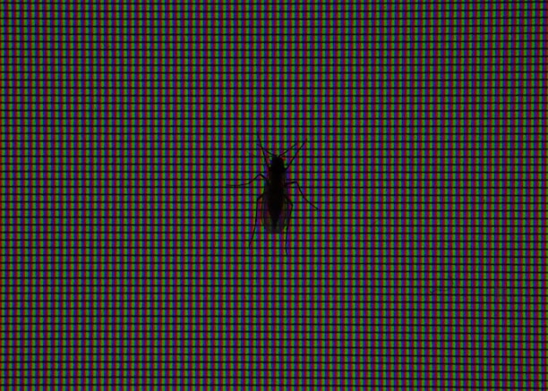 Close-up of a computer screen showing detailed cybersecurity analytics and bug detection results.