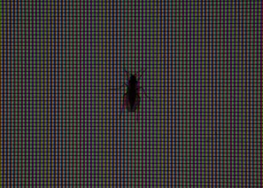 A close-up of a computer screen displaying a blocked false advertisement.