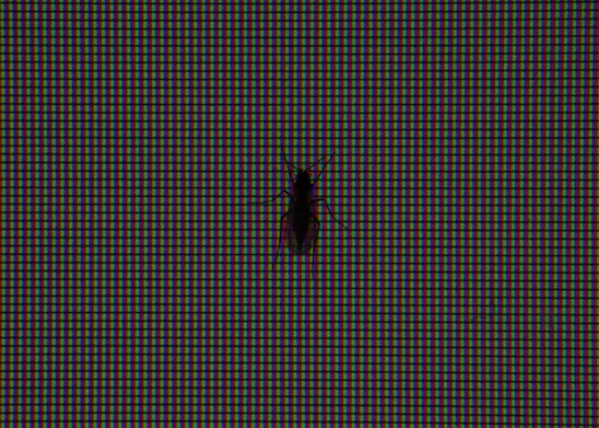 A close-up of a magnifying glass hovering over a complex app interface, highlighting hidden bugs.