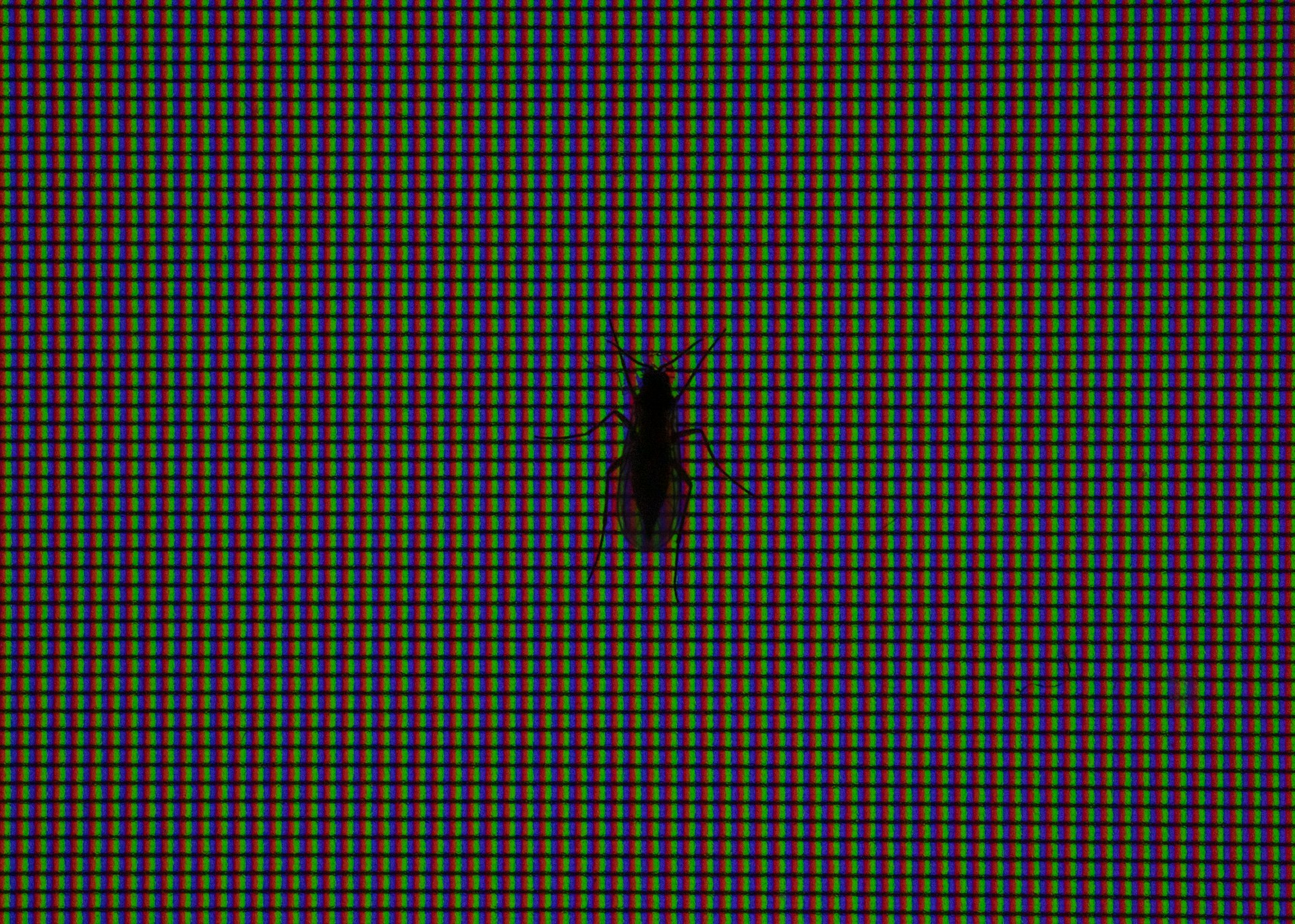 woman wearing yellow long-sleeved dress under white clouds and blue sky during daytime