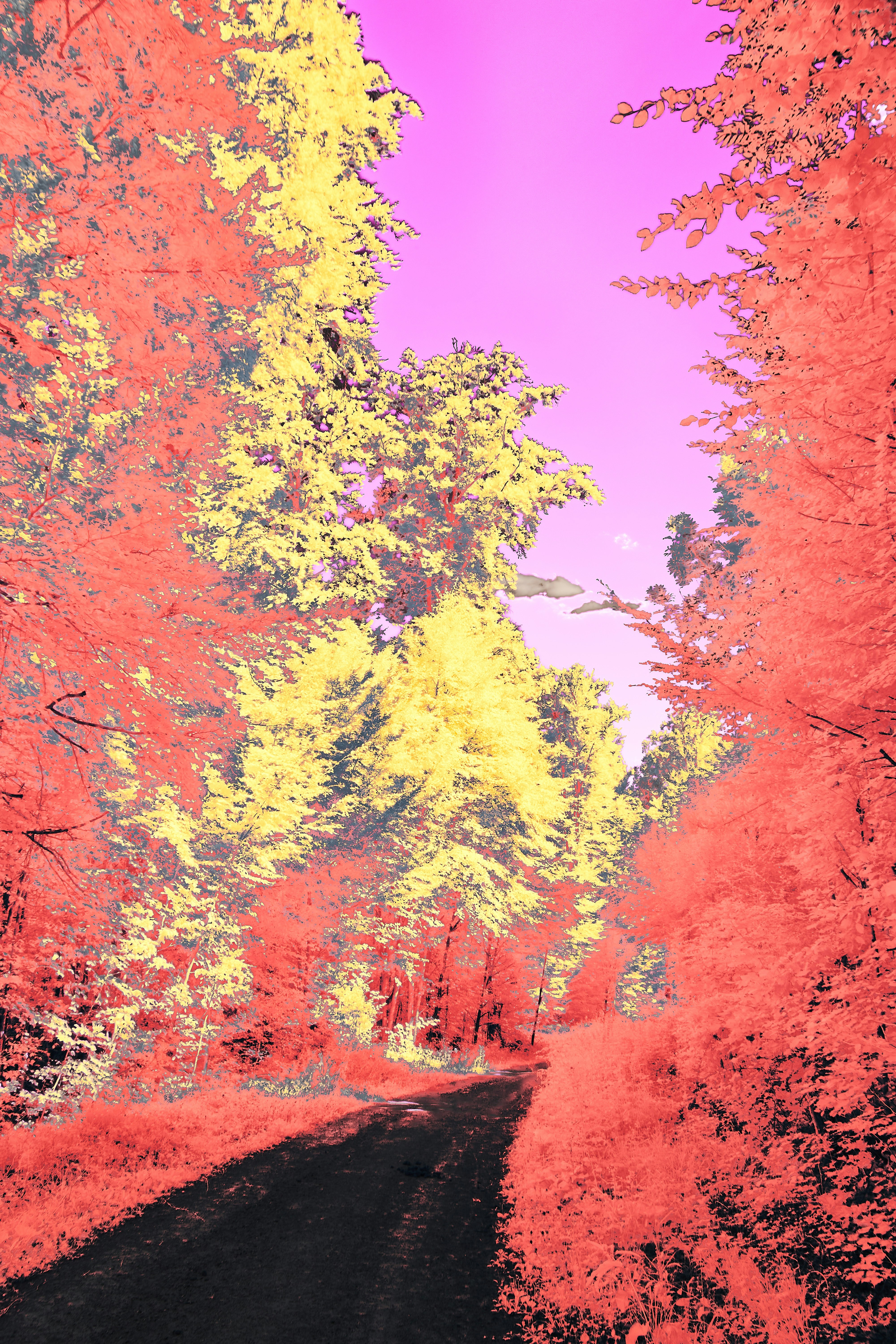 Photo by wolfgang_hasselmann