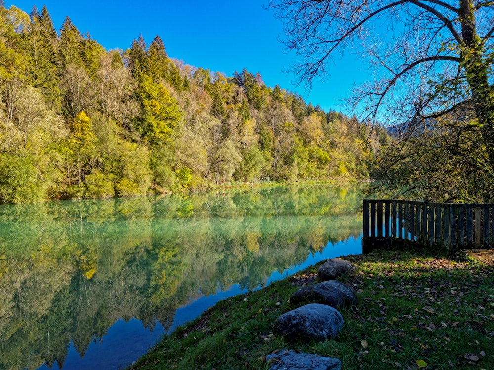 um banco sentado ao lado de um rio ao lado de uma floresta