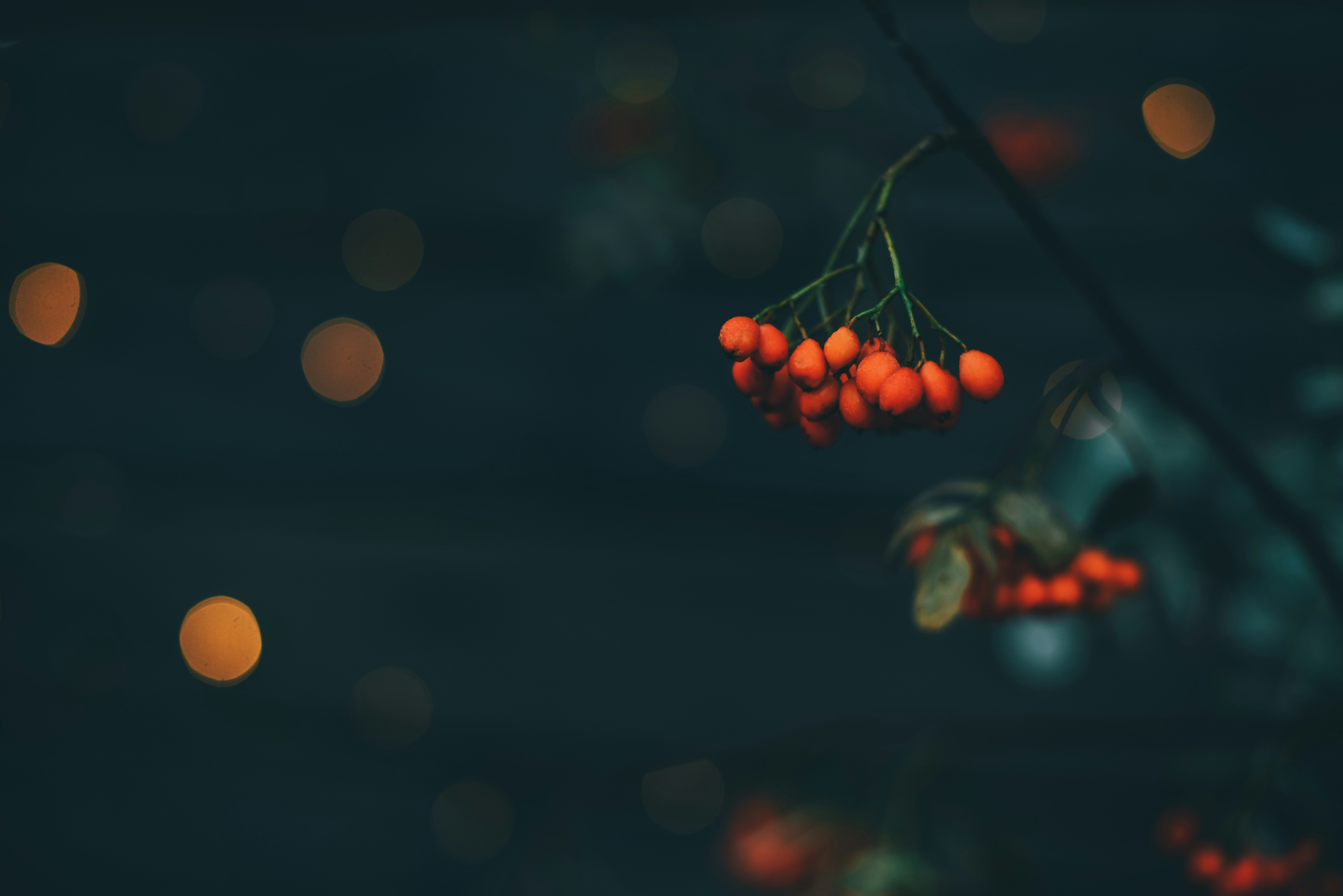 Photo by anitaaustvika