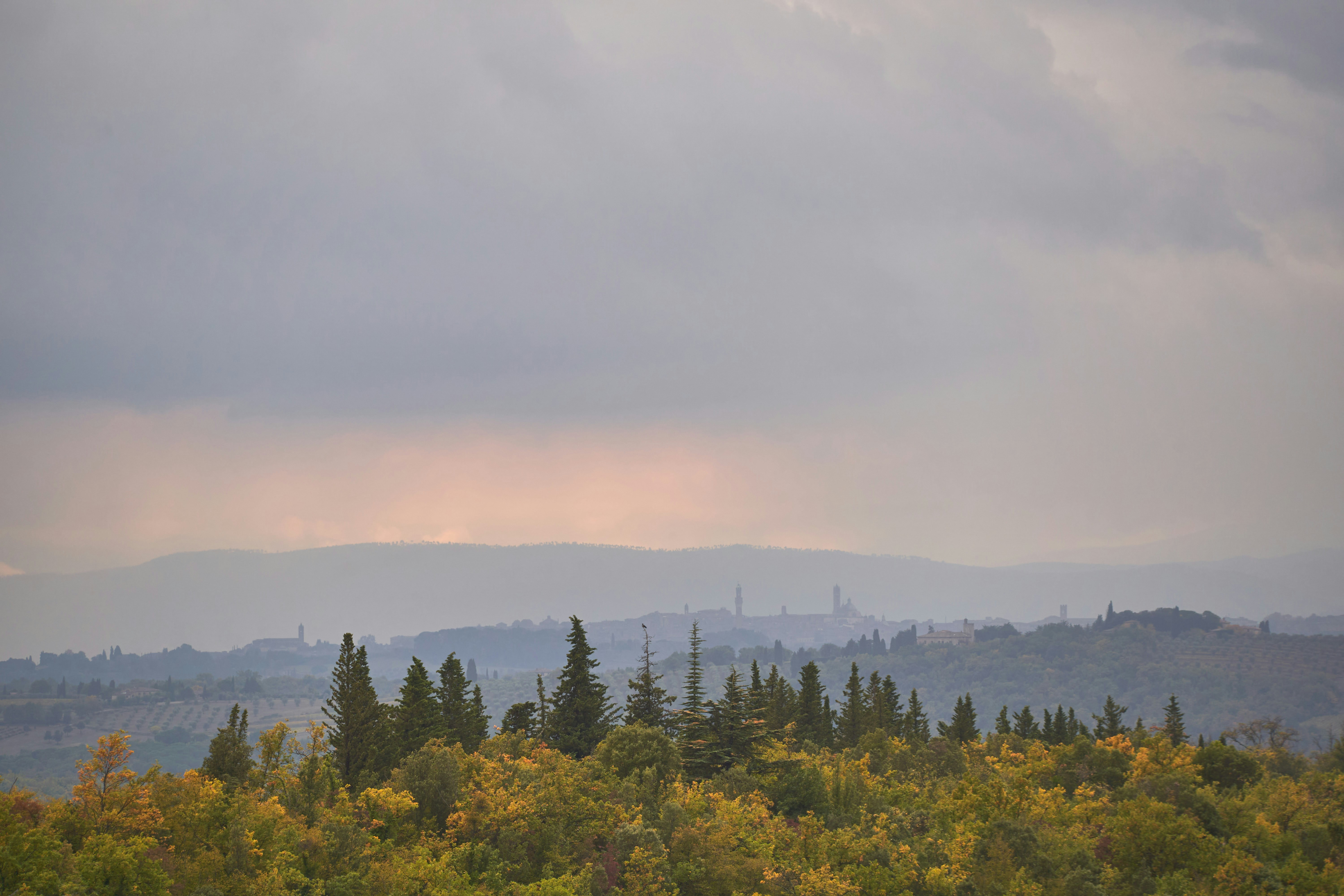 Photo by wolfgang_hasselmann