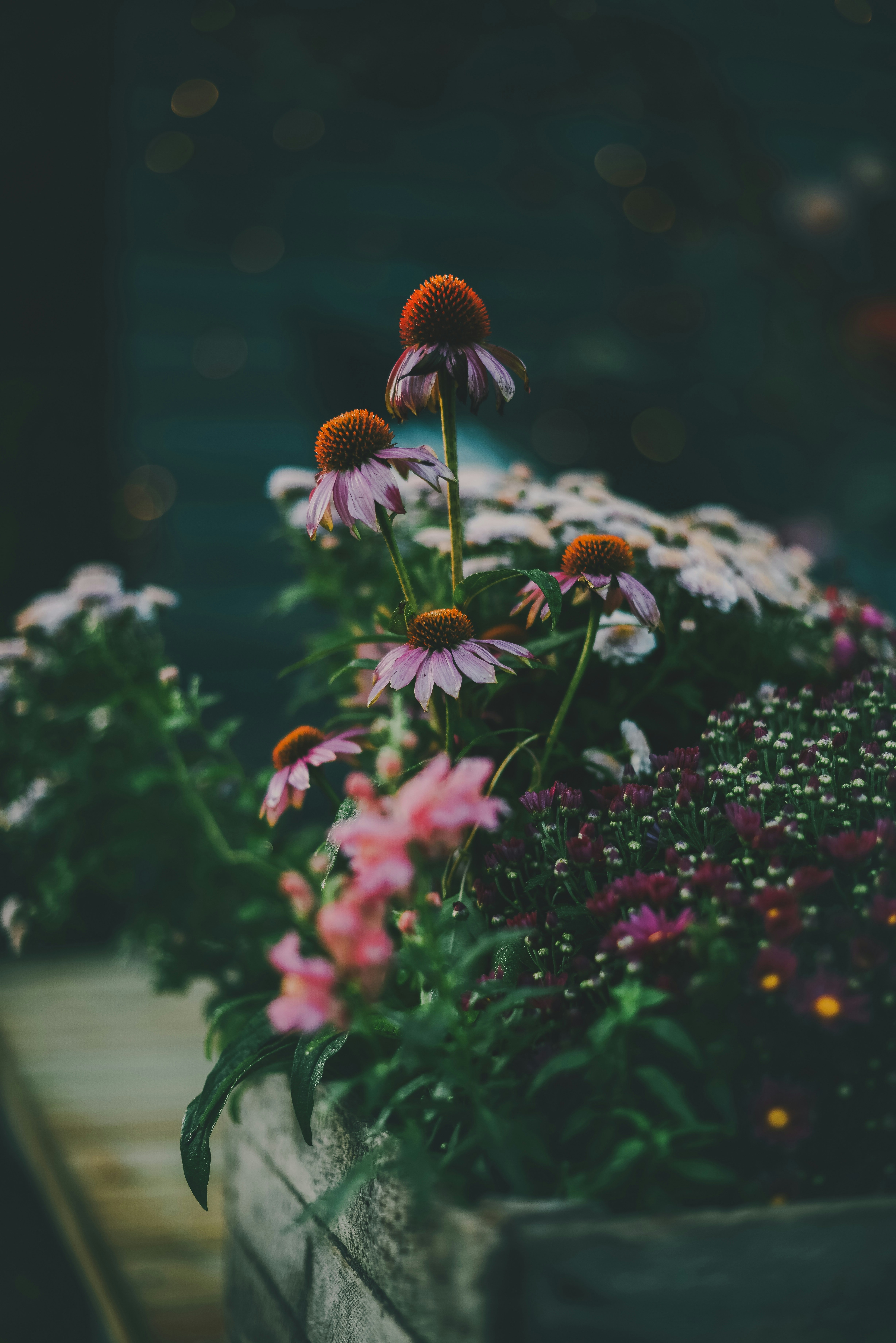 Photo by anitaaustvika