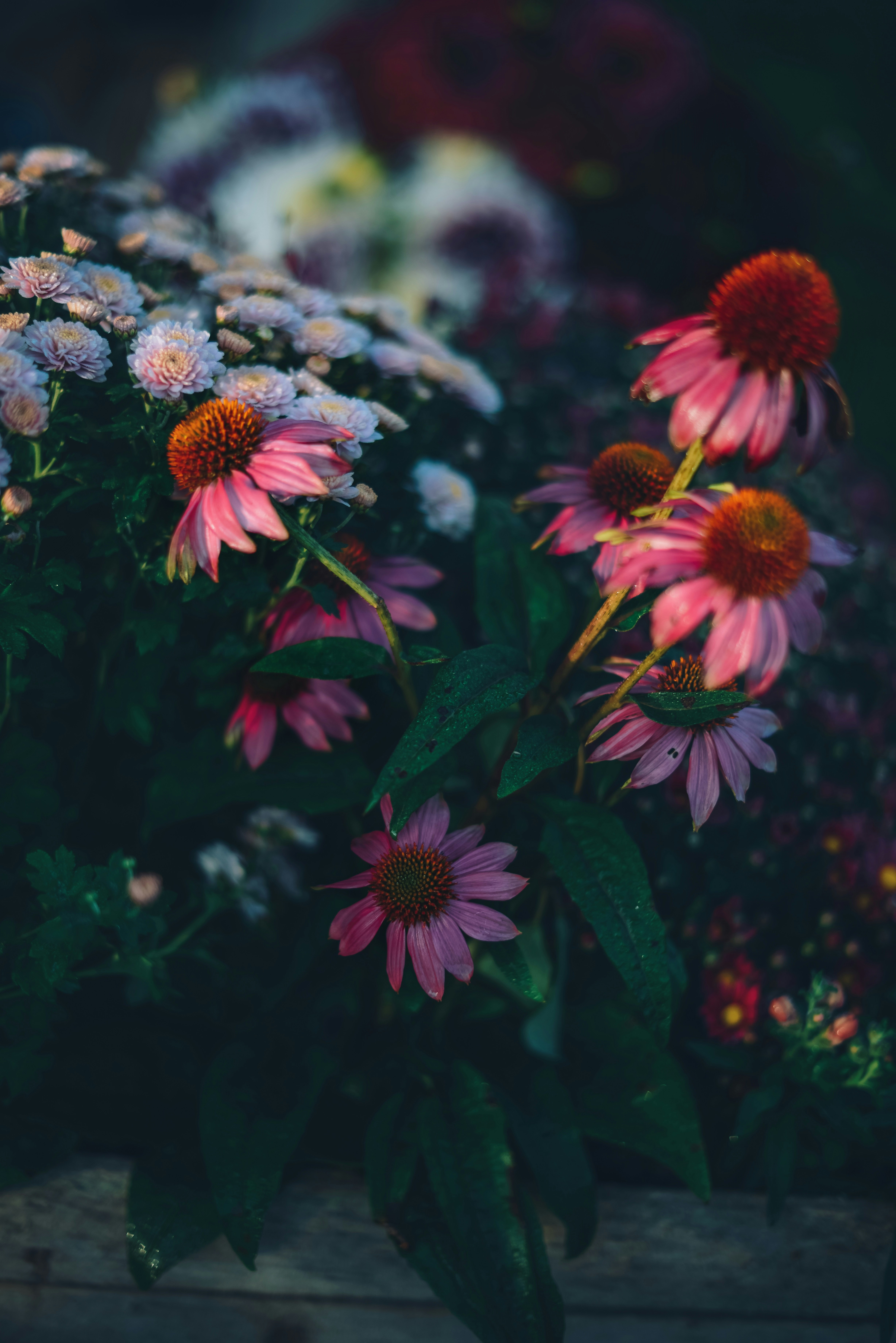 Photo by anitaaustvika