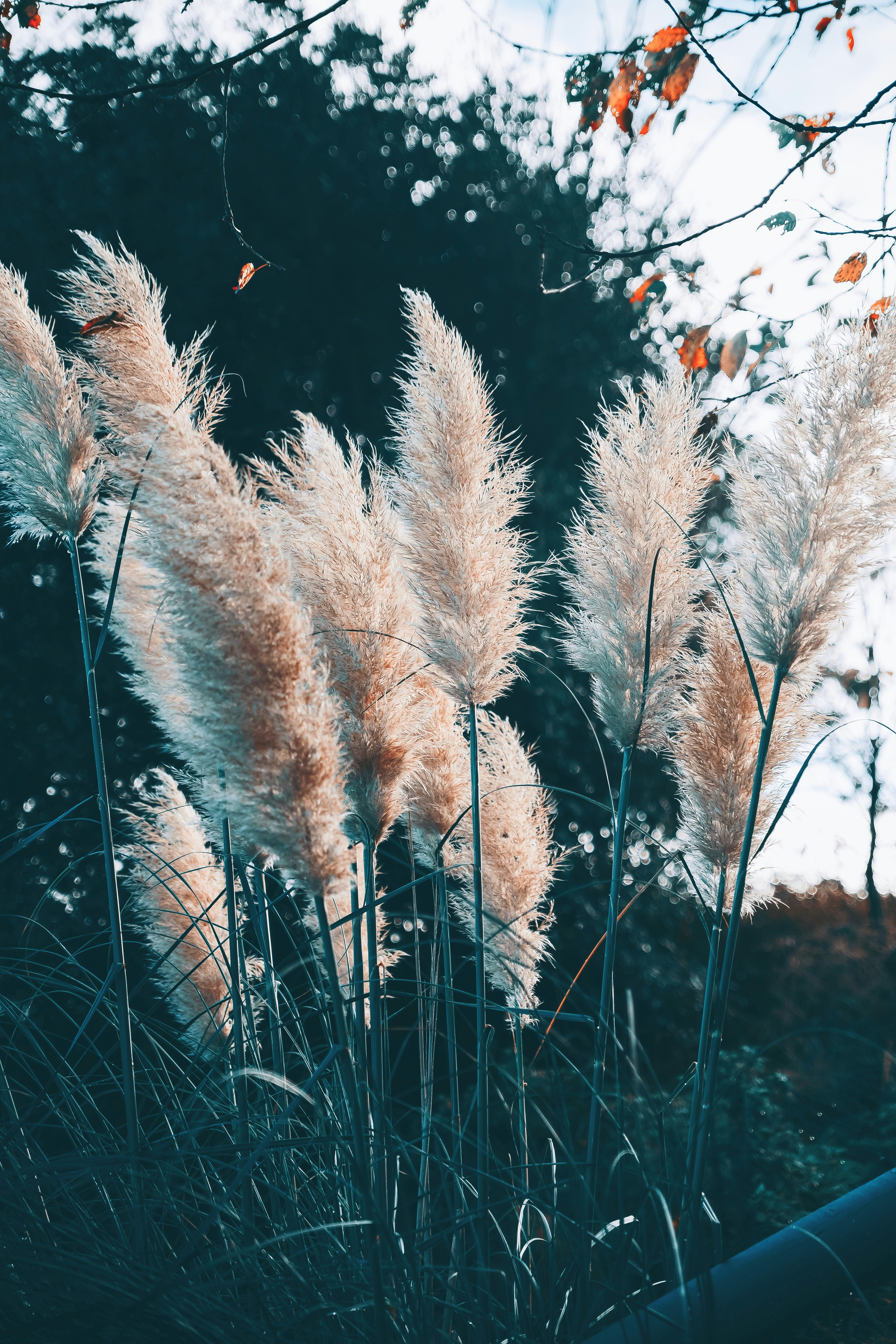 Photo by anitaaustvika