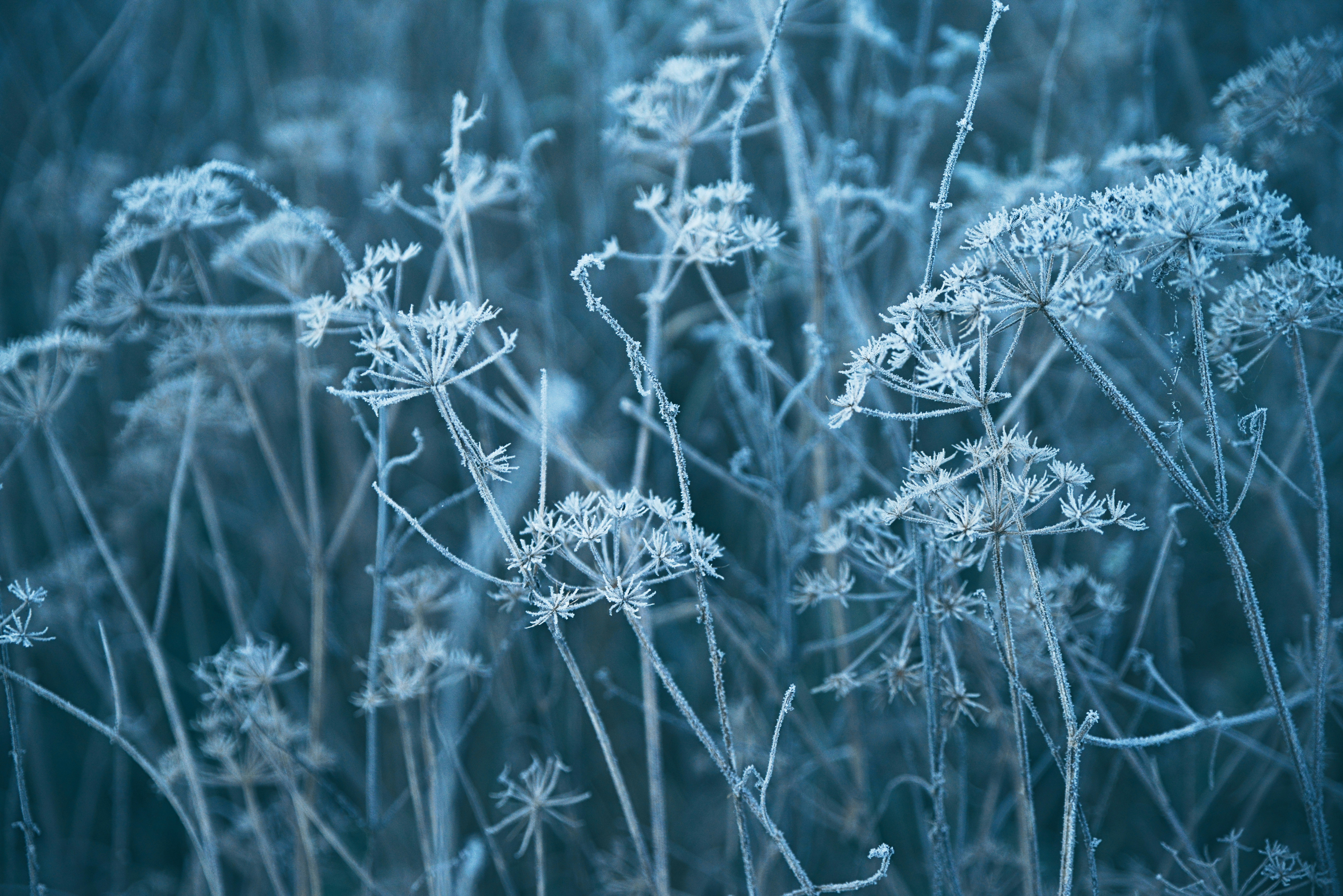 Photo by anitaaustvika