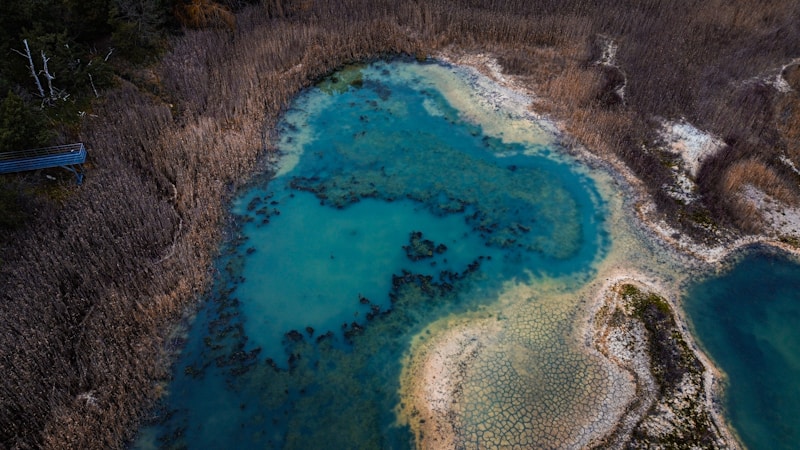 Exploring the Natural Wonders of Hakaluki Haor
