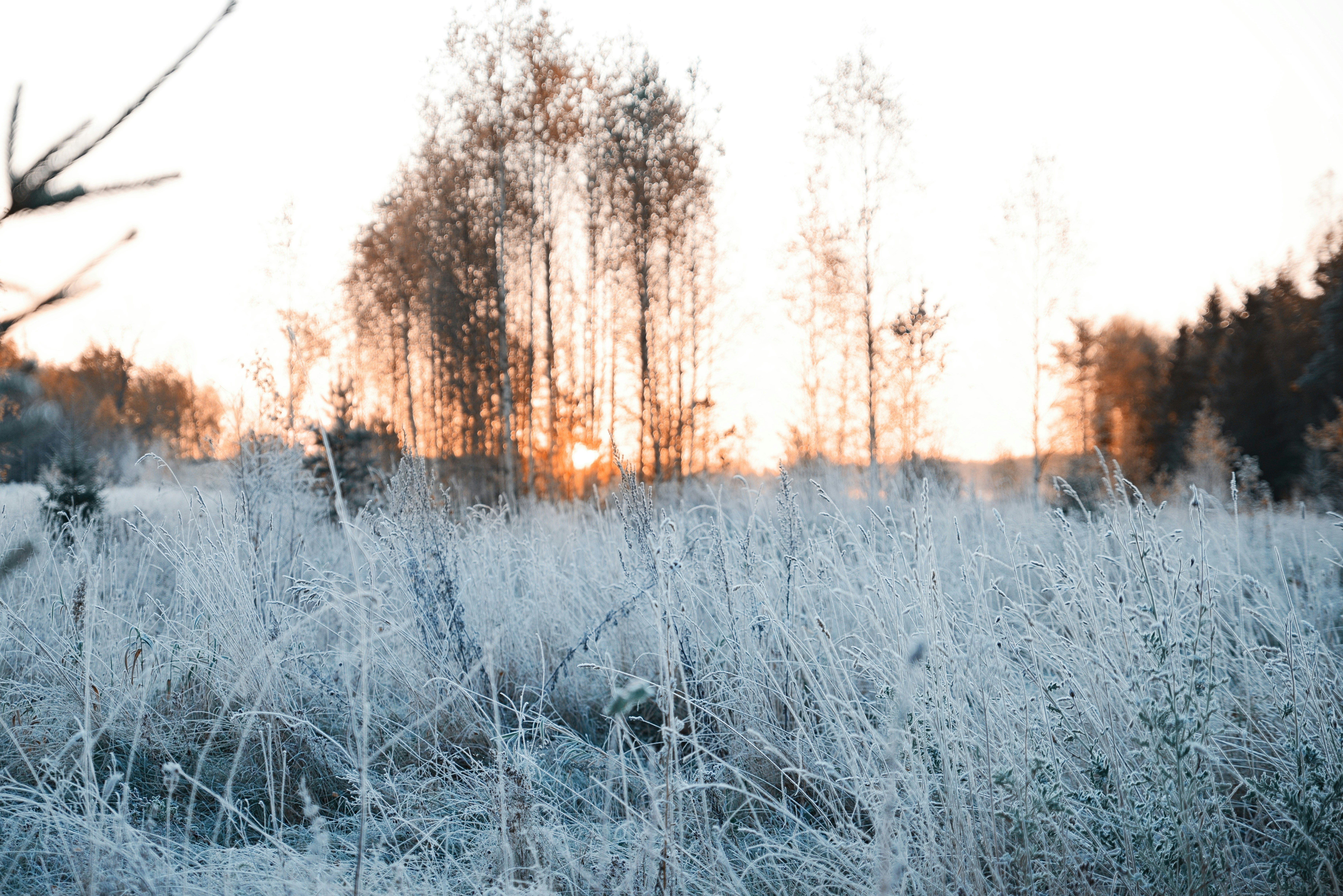 Photo by anitaaustvika