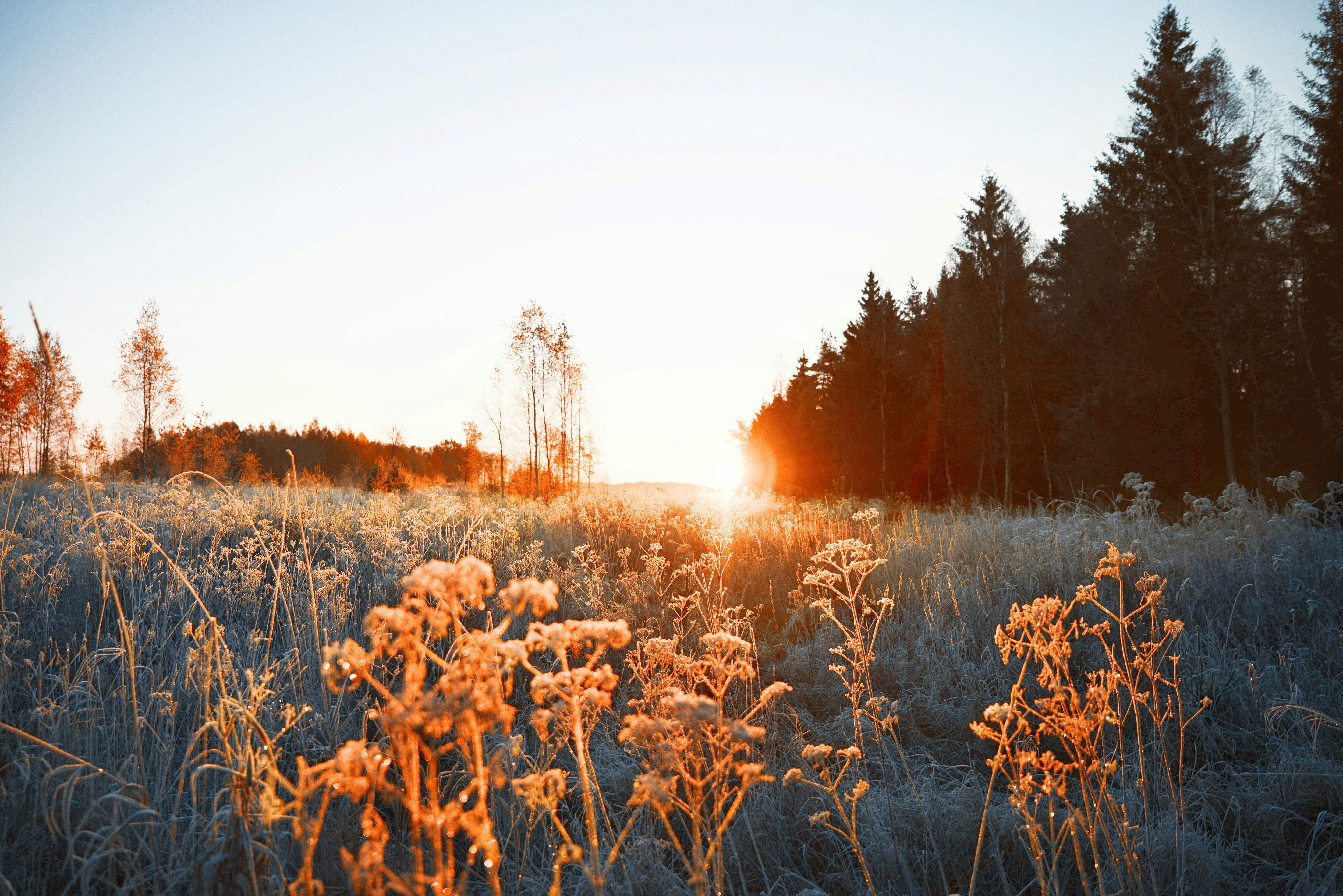 Photo by anitaaustvika
