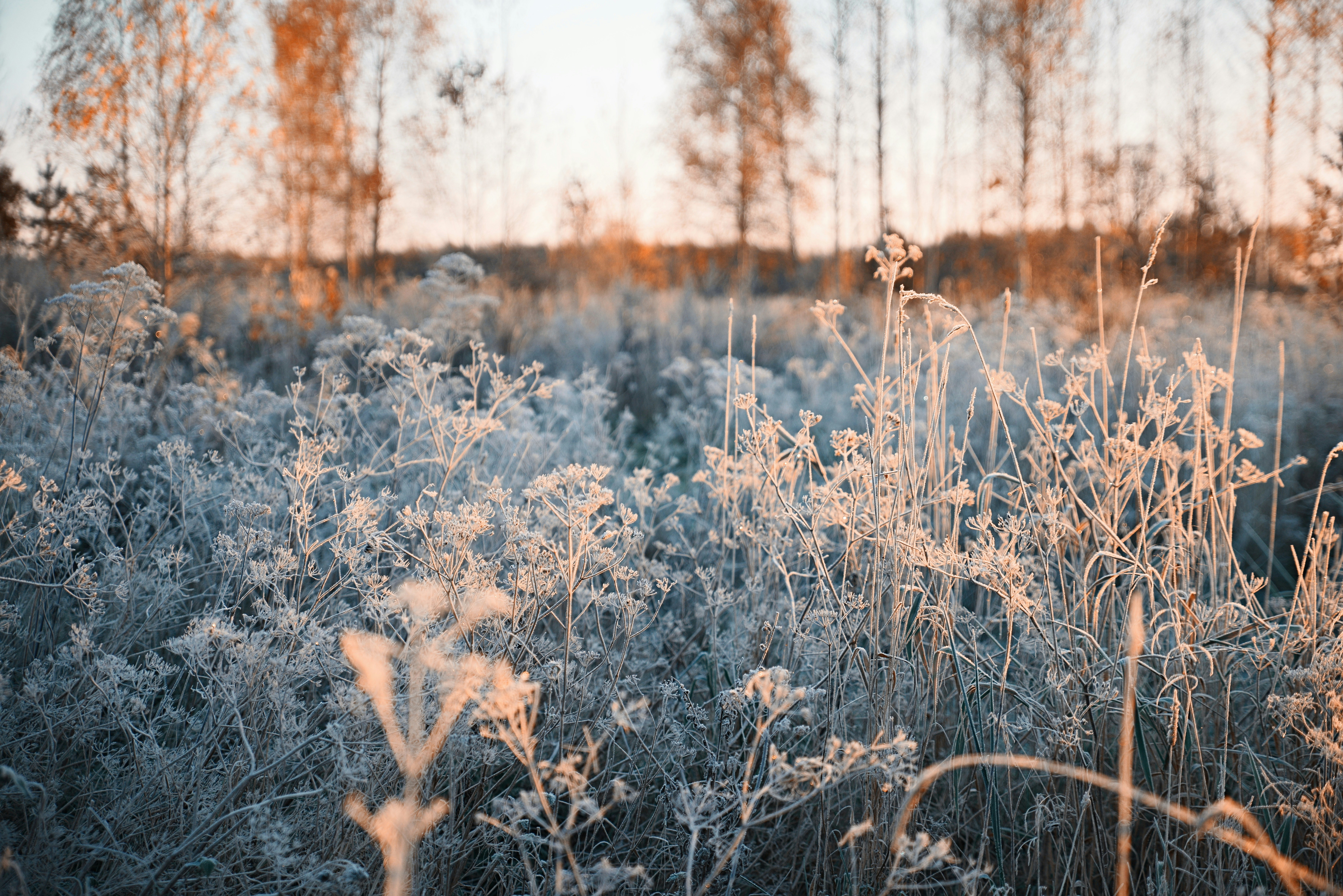 Photo by anitaaustvika