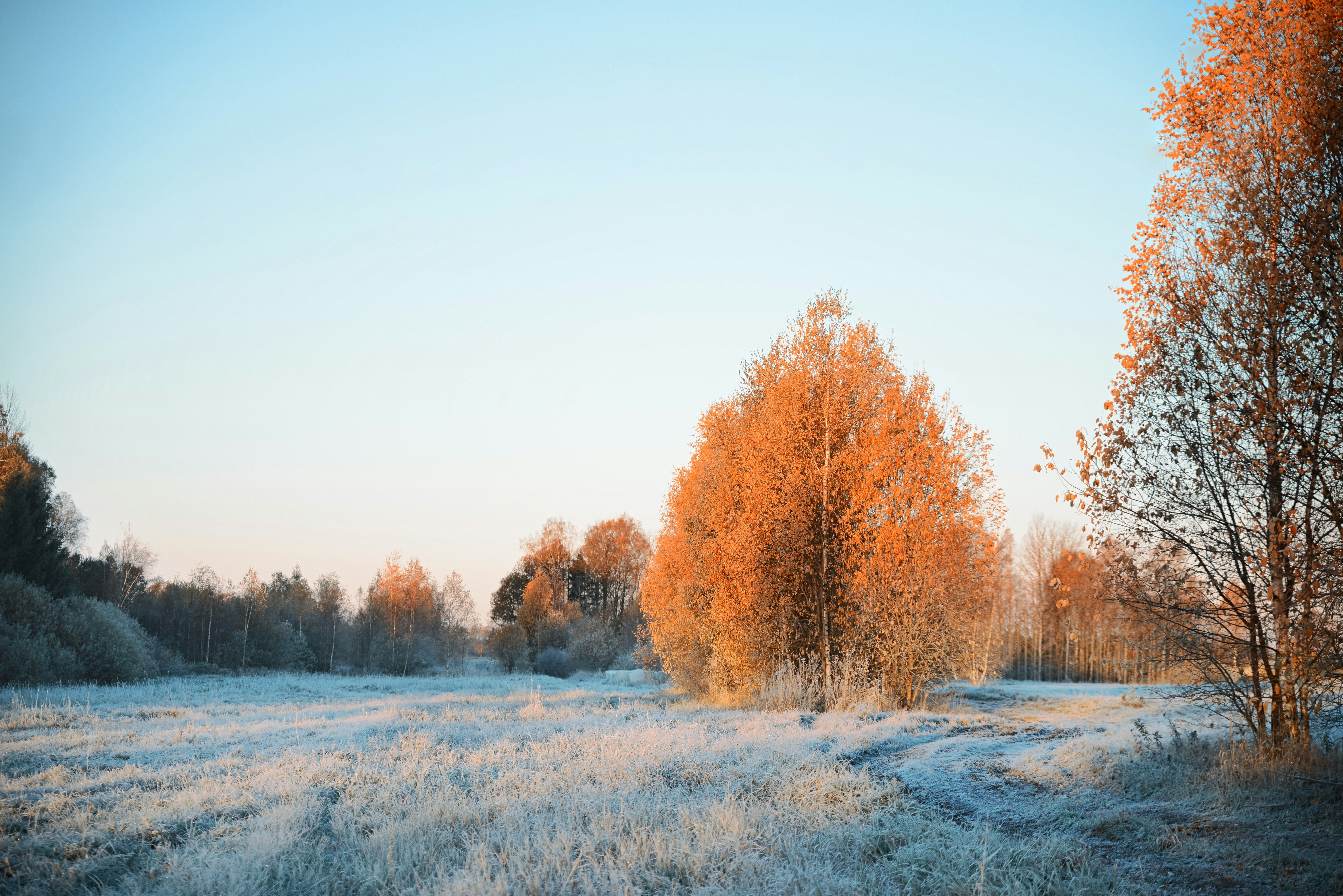 Photo by anitaaustvika