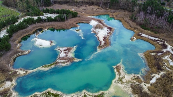 Aerial view of serene shrimp ponds bordered by lush vegetation under a clear blue sky