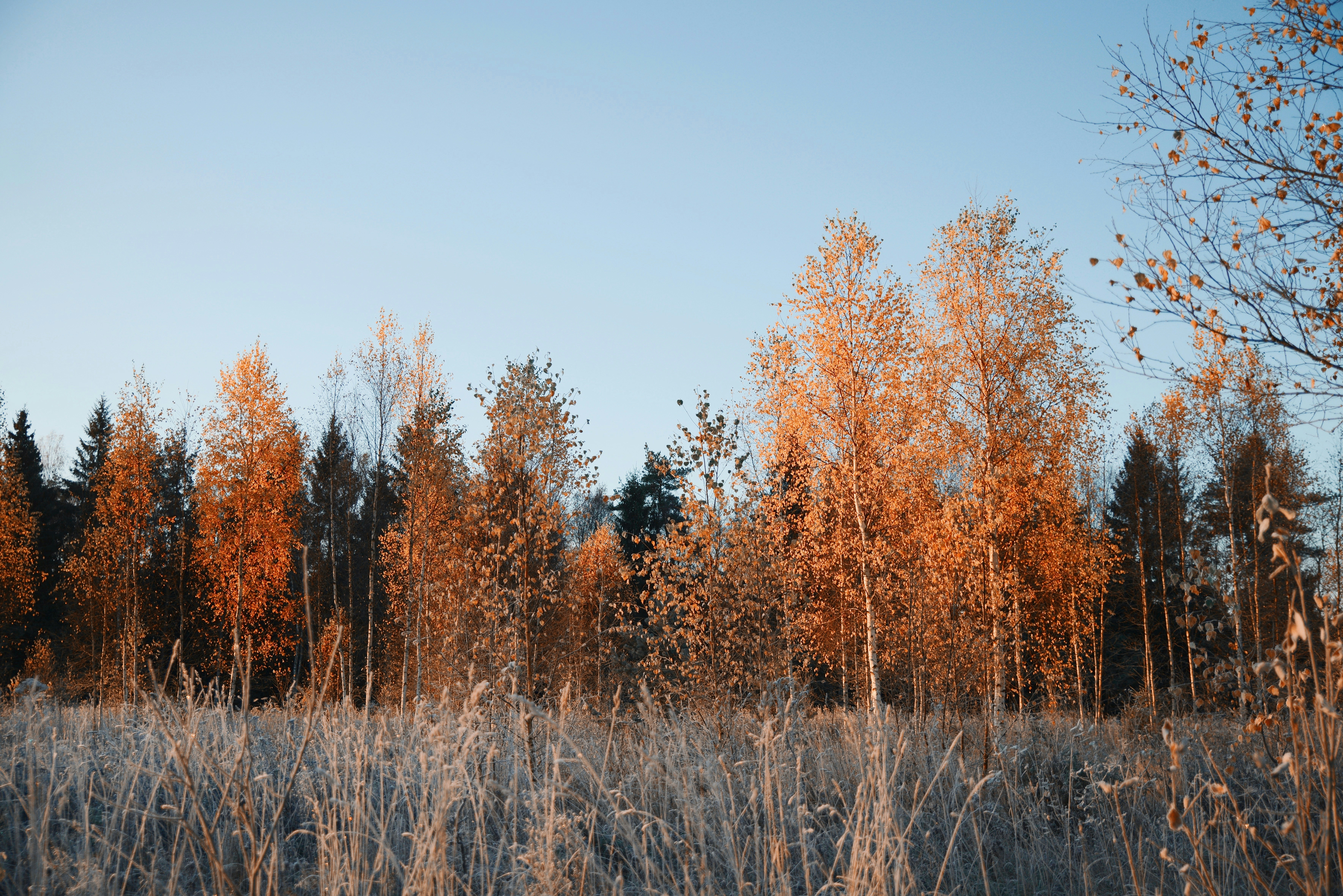 Photo by anitaaustvika